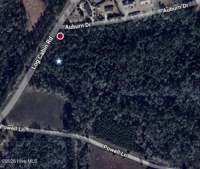 Tbd 1 total Log Cabin Road, Loris, SC 29569