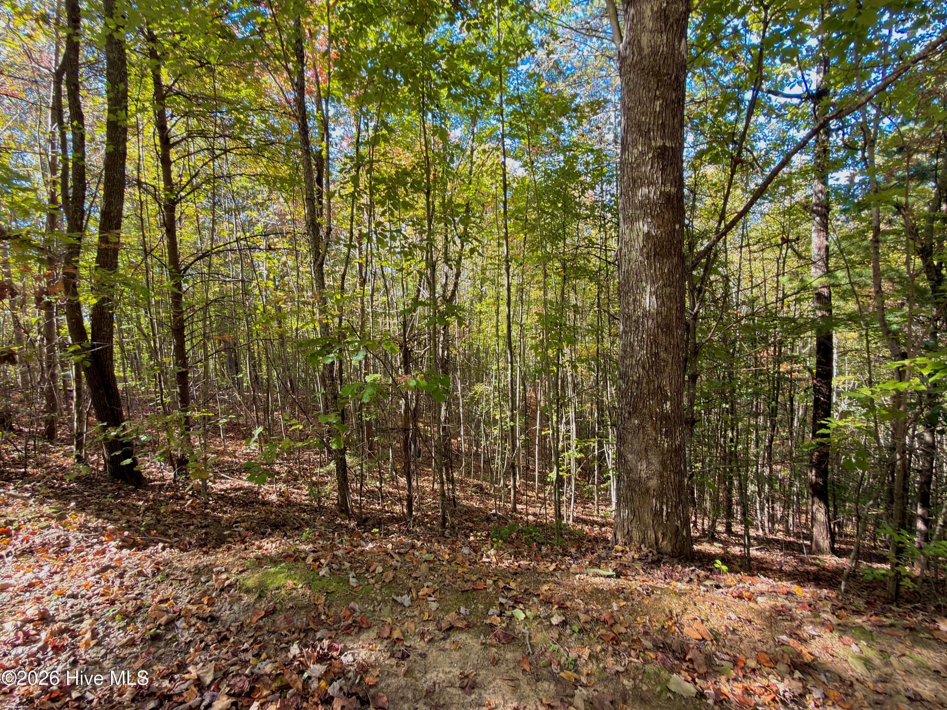 Residential Lot at 00 26 Lookout Point, Murphy, NC 28906, photo 4 of 10