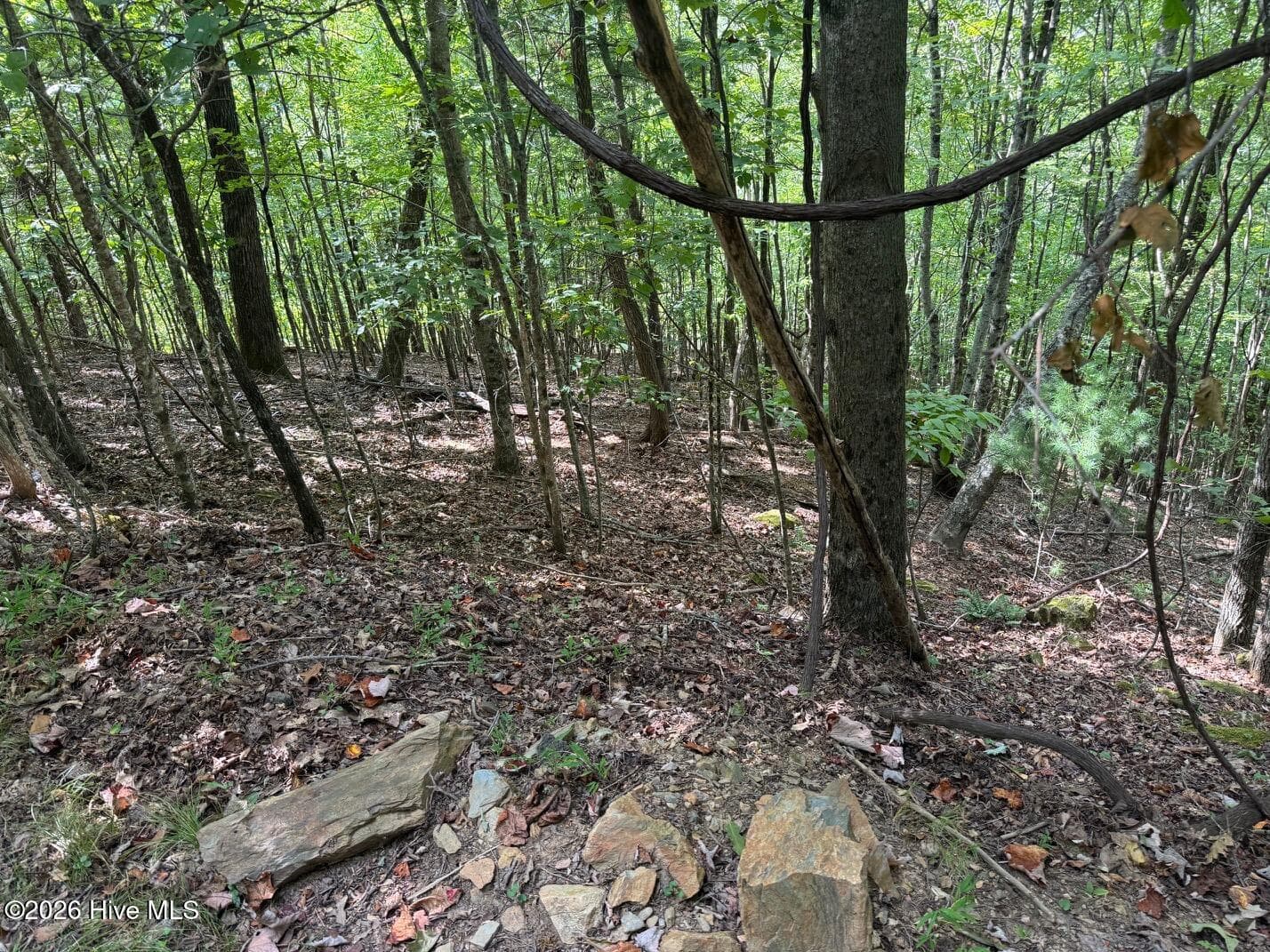 Wooded at 18 Mason Way, Murphy, NC 28906, photo 5 of 7