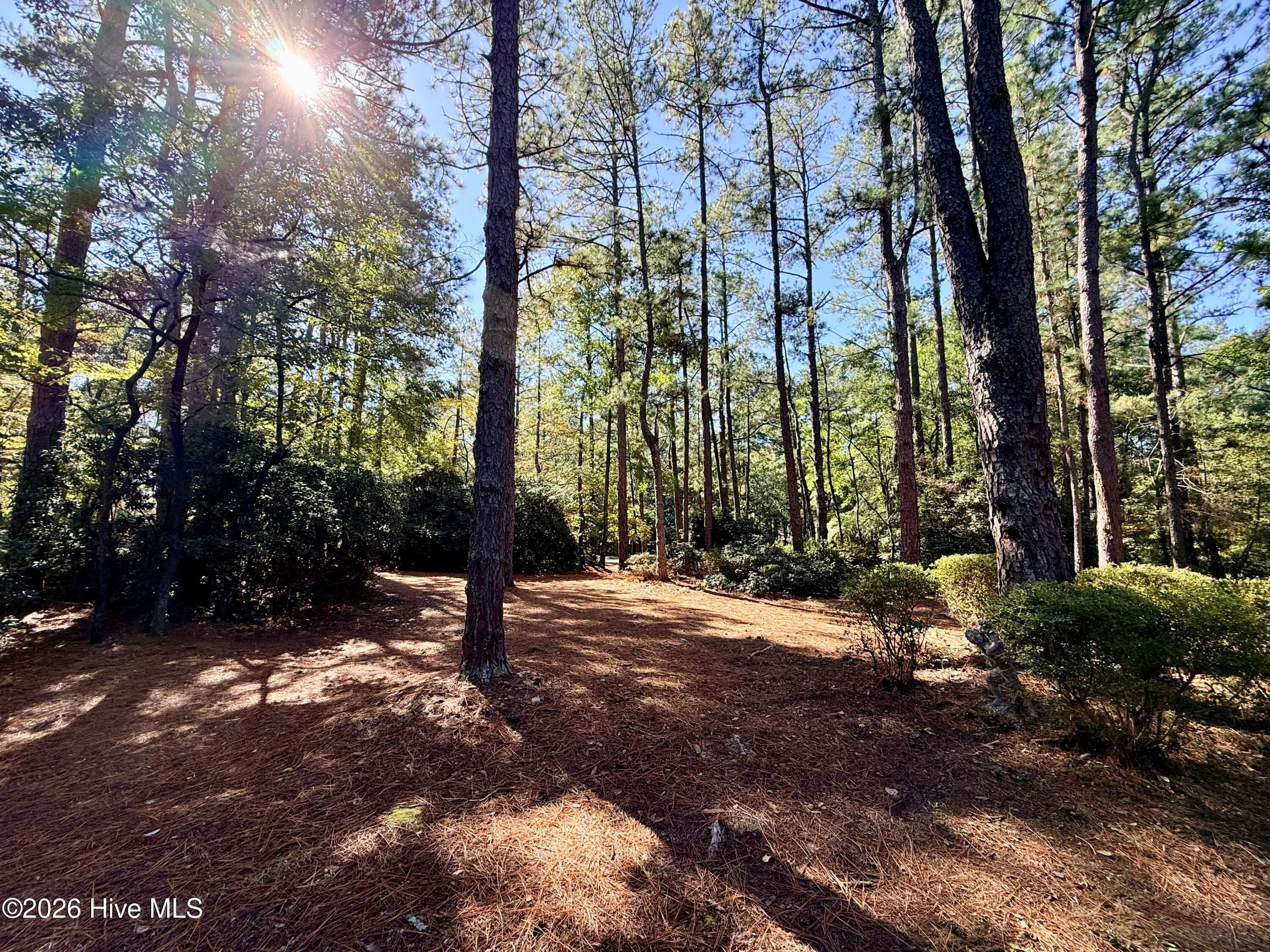 view of street from front door - 12681 Blues Farm Road, Laurinburg, NC 28352