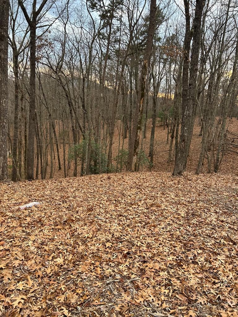 160 160 Tracks Hollow, Murphy, NC 28906