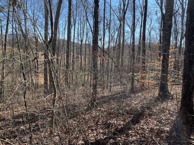 Residential Lot at Lot 2e 2E The Woodlands, Hayesville, NC 28904, photo 2 of 6