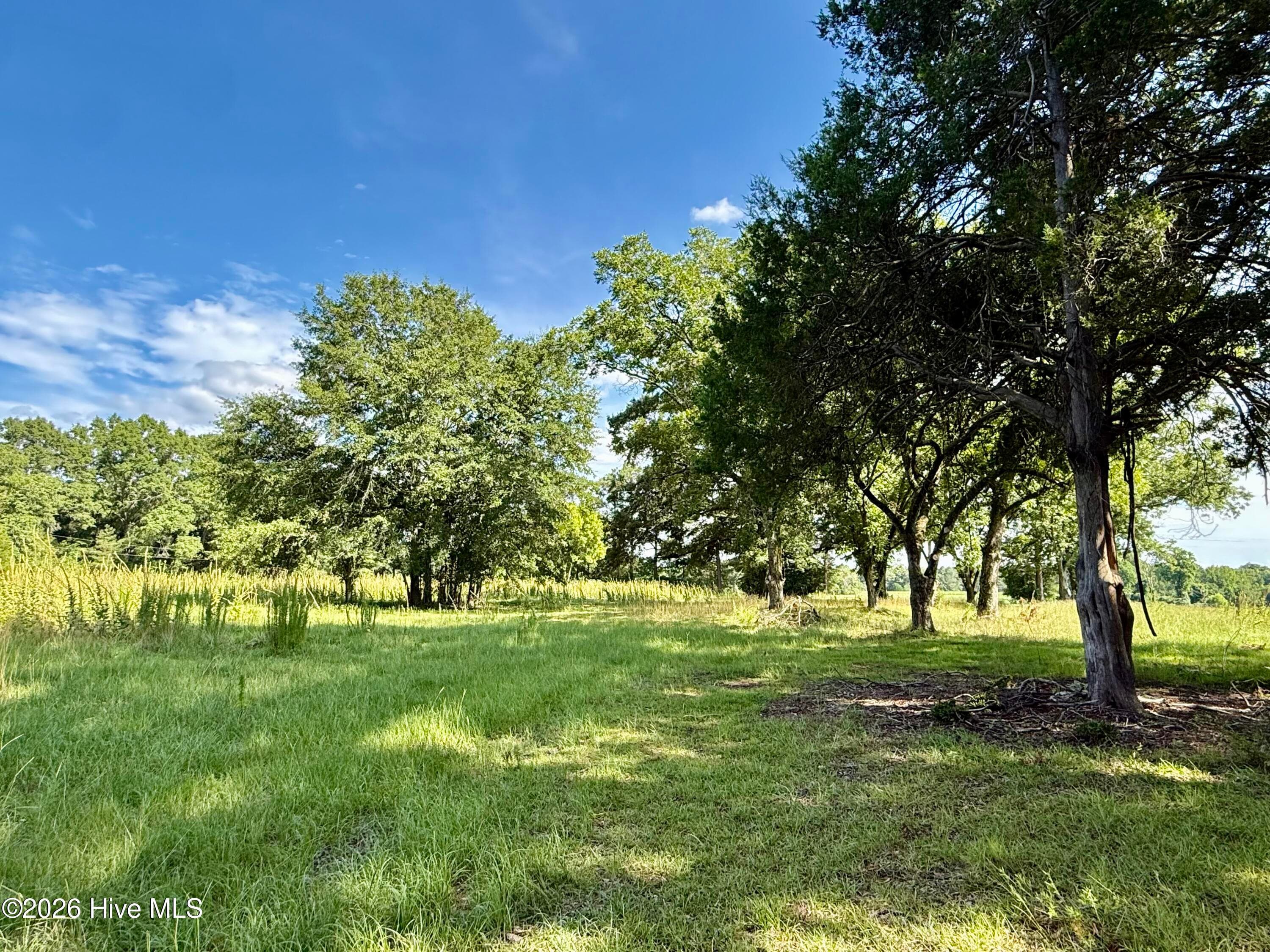 Undeveloped at Tbd Roberdel School Road, Rockingham, NC 28379, photo 20 of 41