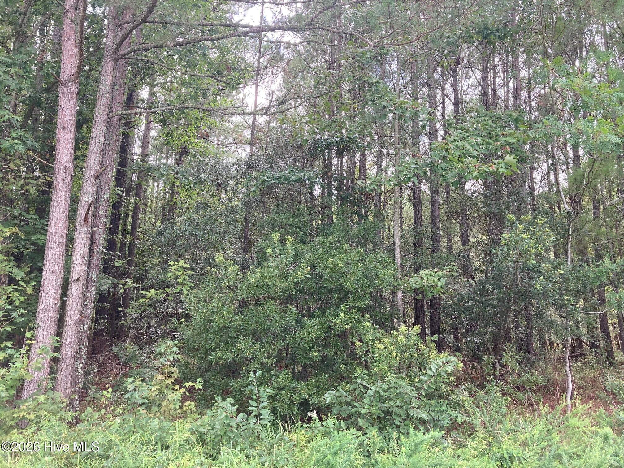 Lot # 33 33 33 Pine Crest Road, Bath, NC 27808