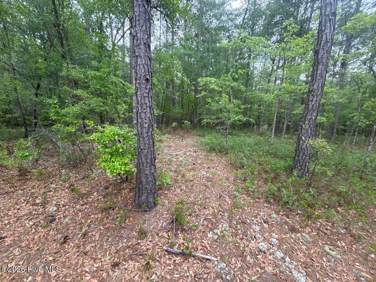 5, 6, 7 53 Off Highway, Atkinson, NC 28421