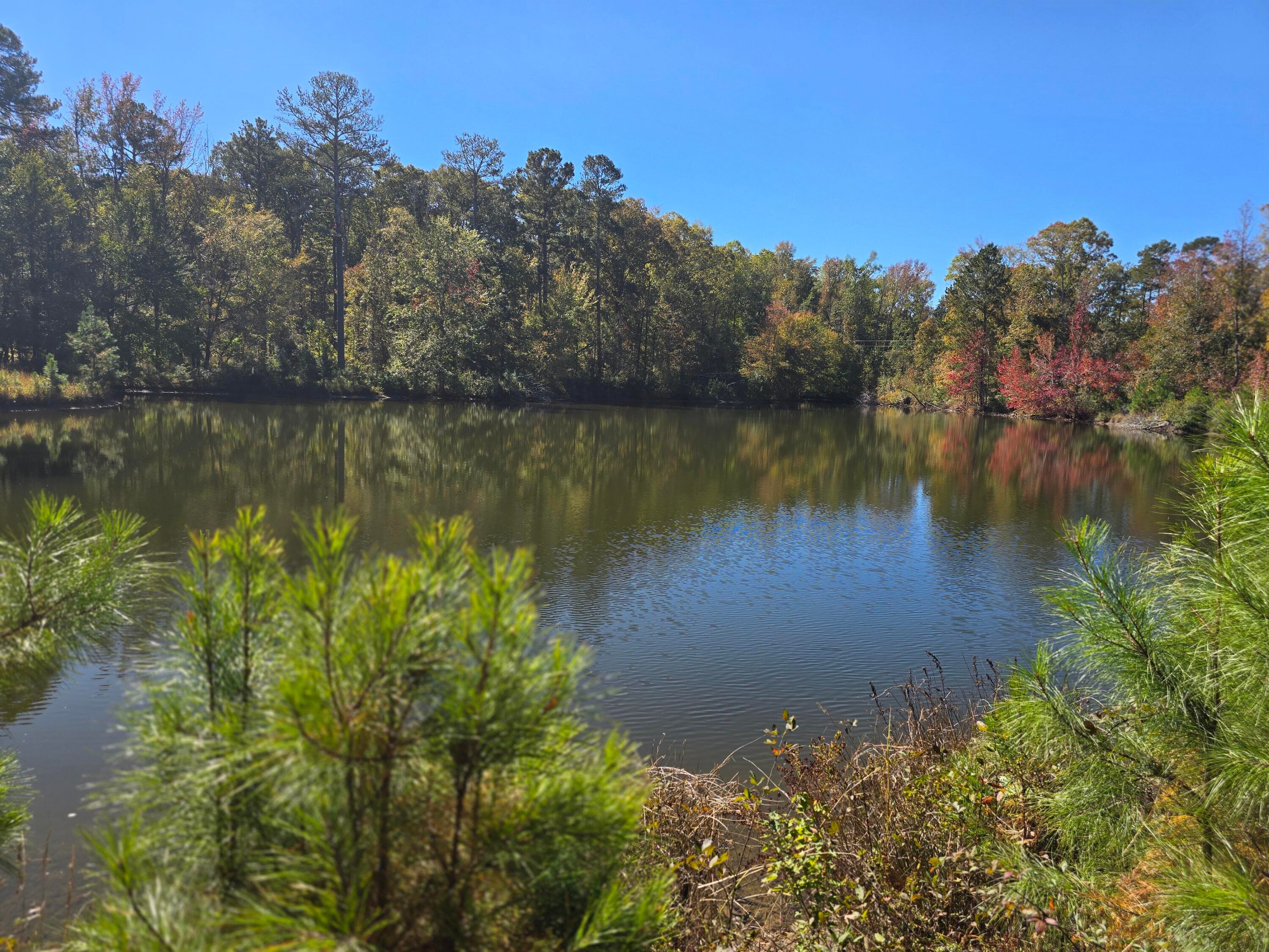 Mixed Use at 7501 Rainey Morris Road, Appling, GA 30802, photo 19 of 47