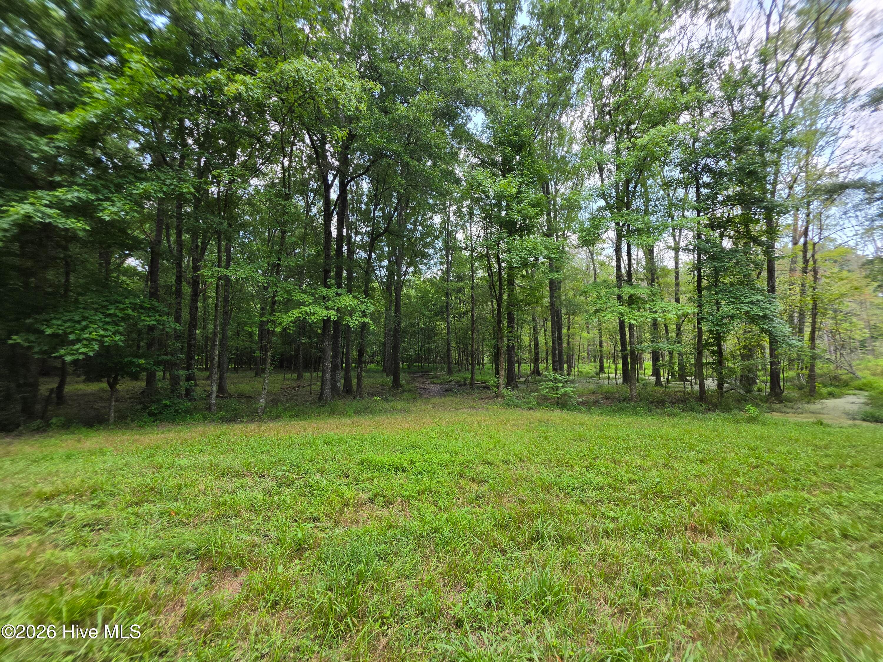 Mixed Use at 000 Court Ground Road, Washington, GA 30673, photo 25 of 52