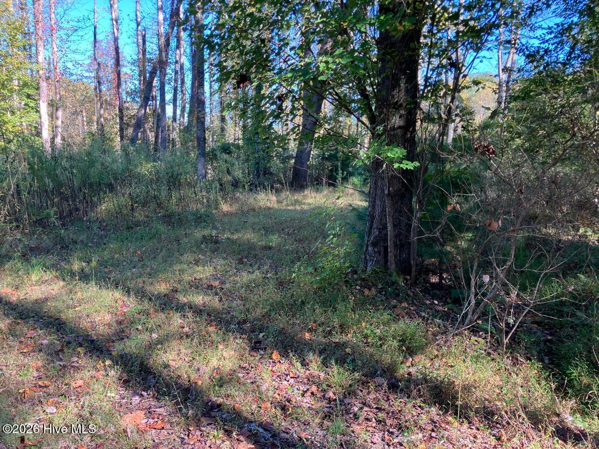 Residential Lot at 6 6 Rushing Water Trail, Hayesville, NC 28904, Hayesville, photo 4 of 14