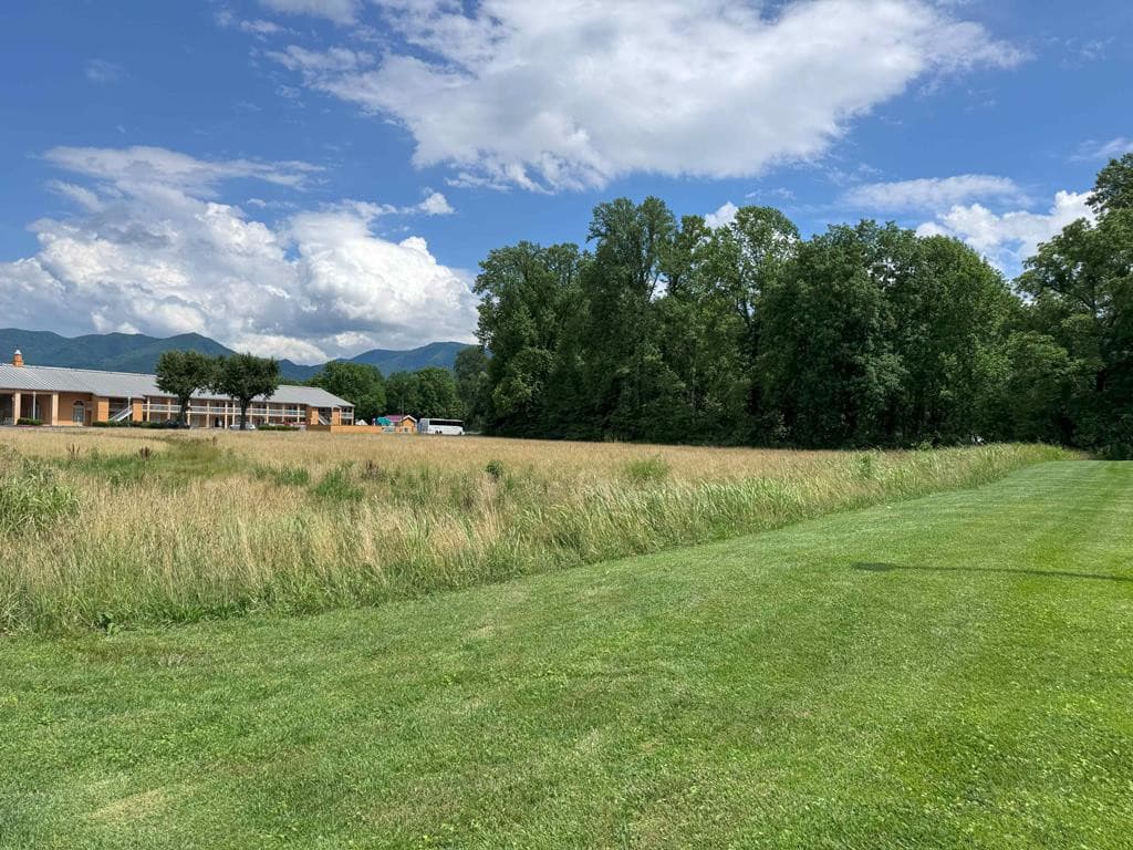 Land at 4.27 Upper Valley Lane, Andrews, NC 28901, photo 6 of 7