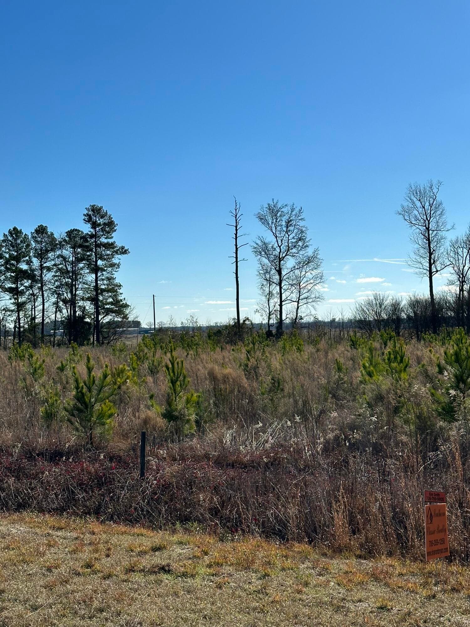 Residential Lot at Lot 6 6 Triangle Road, Louisville, GA 30434, photo 8 of 10