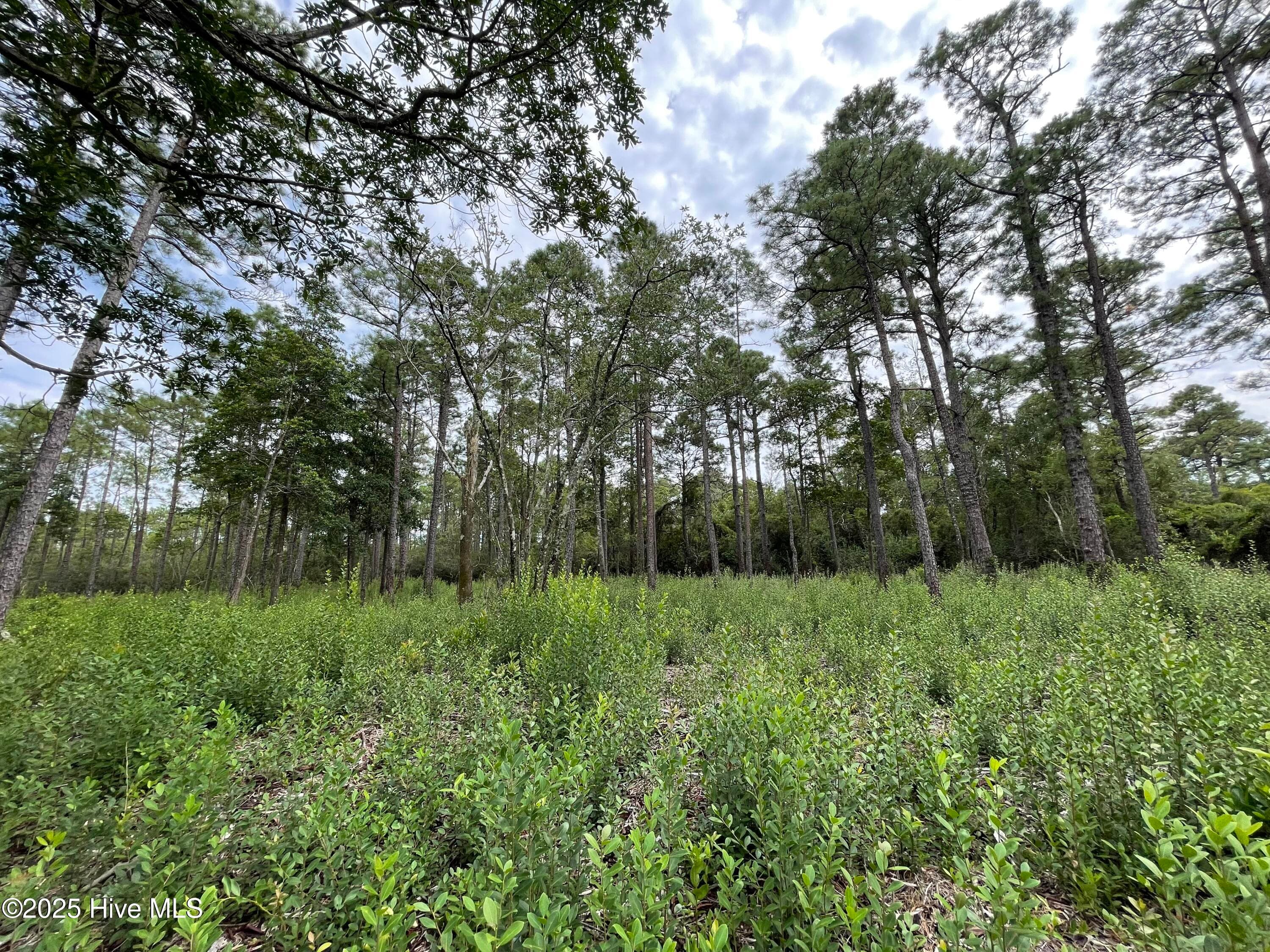 Residential Lot at 811 Brittany Road, Southport, NC 28461, photo 9 of 25