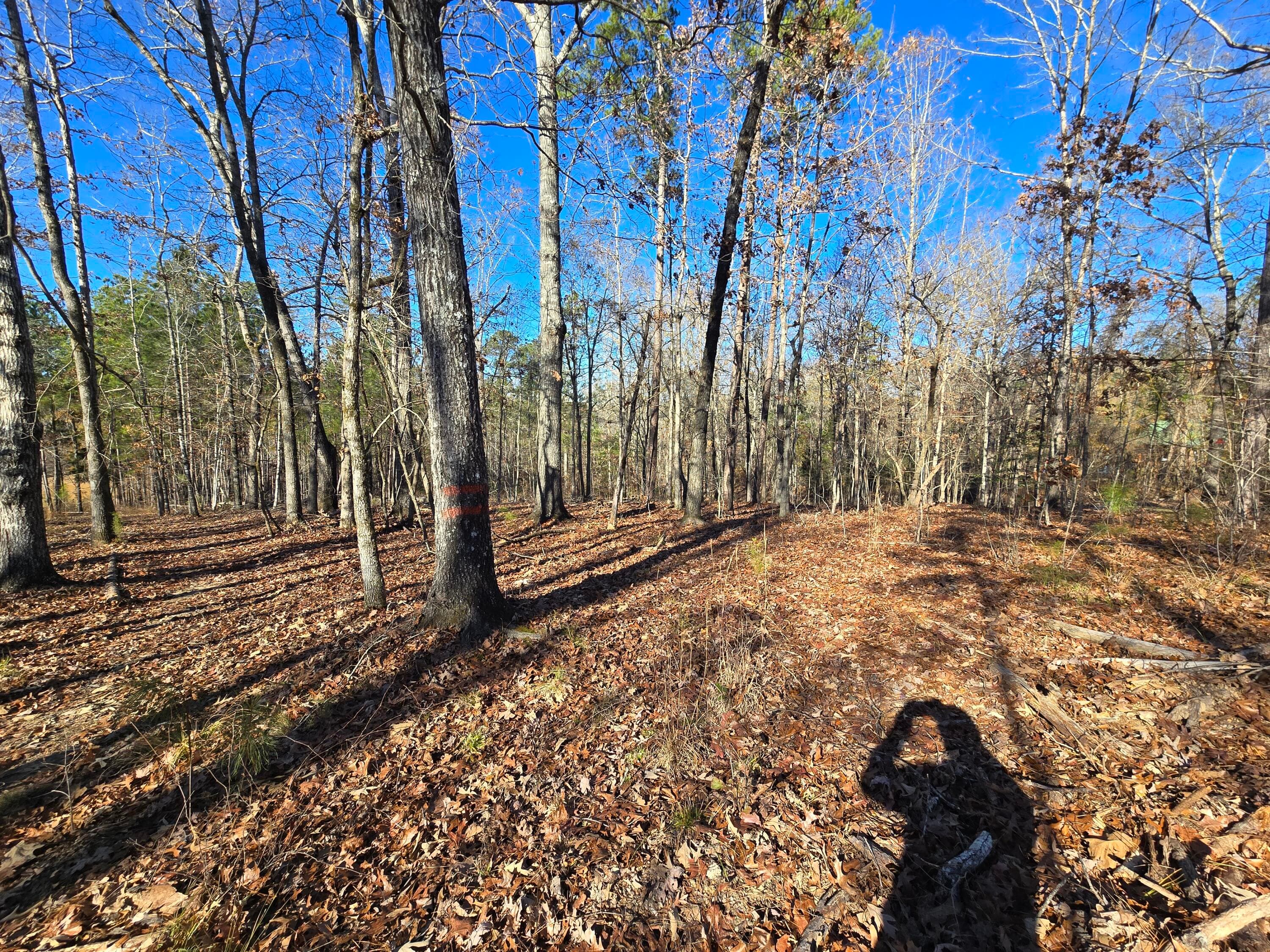 Residential Lot at 1102 Dogwood Drive, Lincolnton, GA 30817, photo 18 of 46