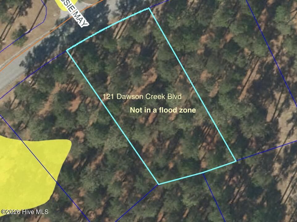 Residential Lot at 212 87 Dawson Creek Boulevard, Arapahoe, NC 28510, photo 3 of 6