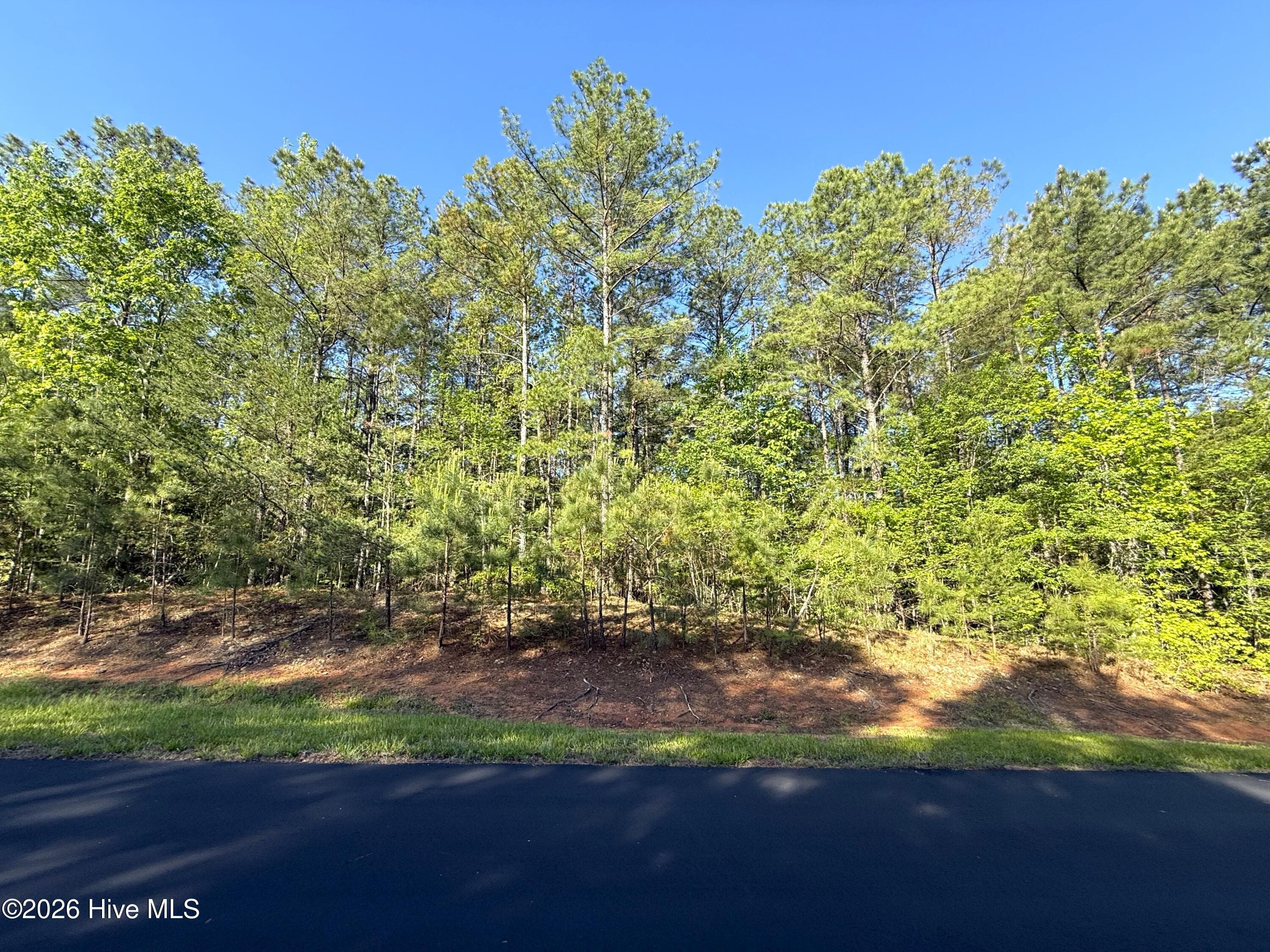 Residential Lot at 121 21 Watsons Way, Rockingham, NC 28379, photo 13 of 22
