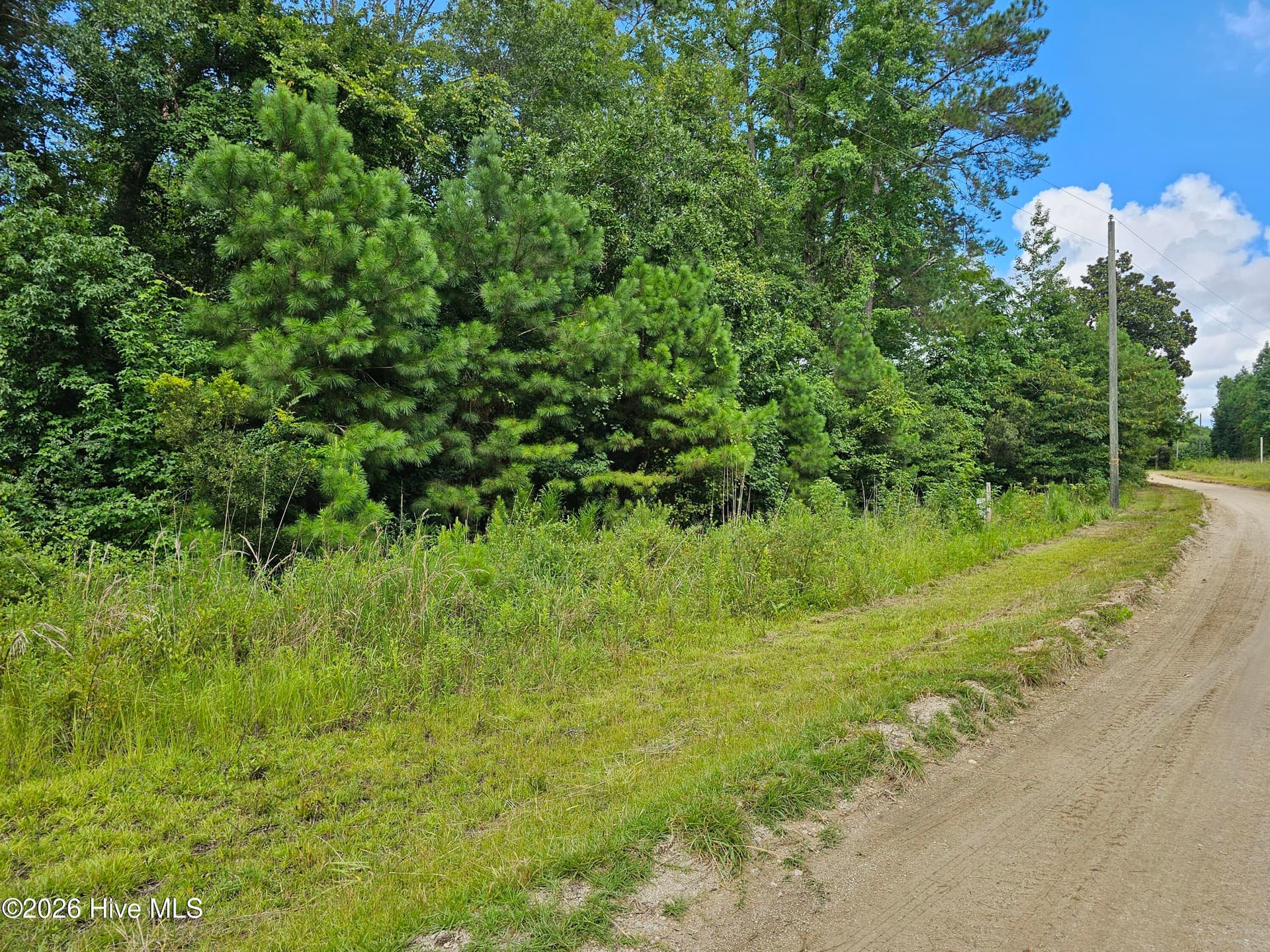 Wooded at Tbd Lot 3 3 Auburn Drive, Loris, SC 29569, photo 7 of 9