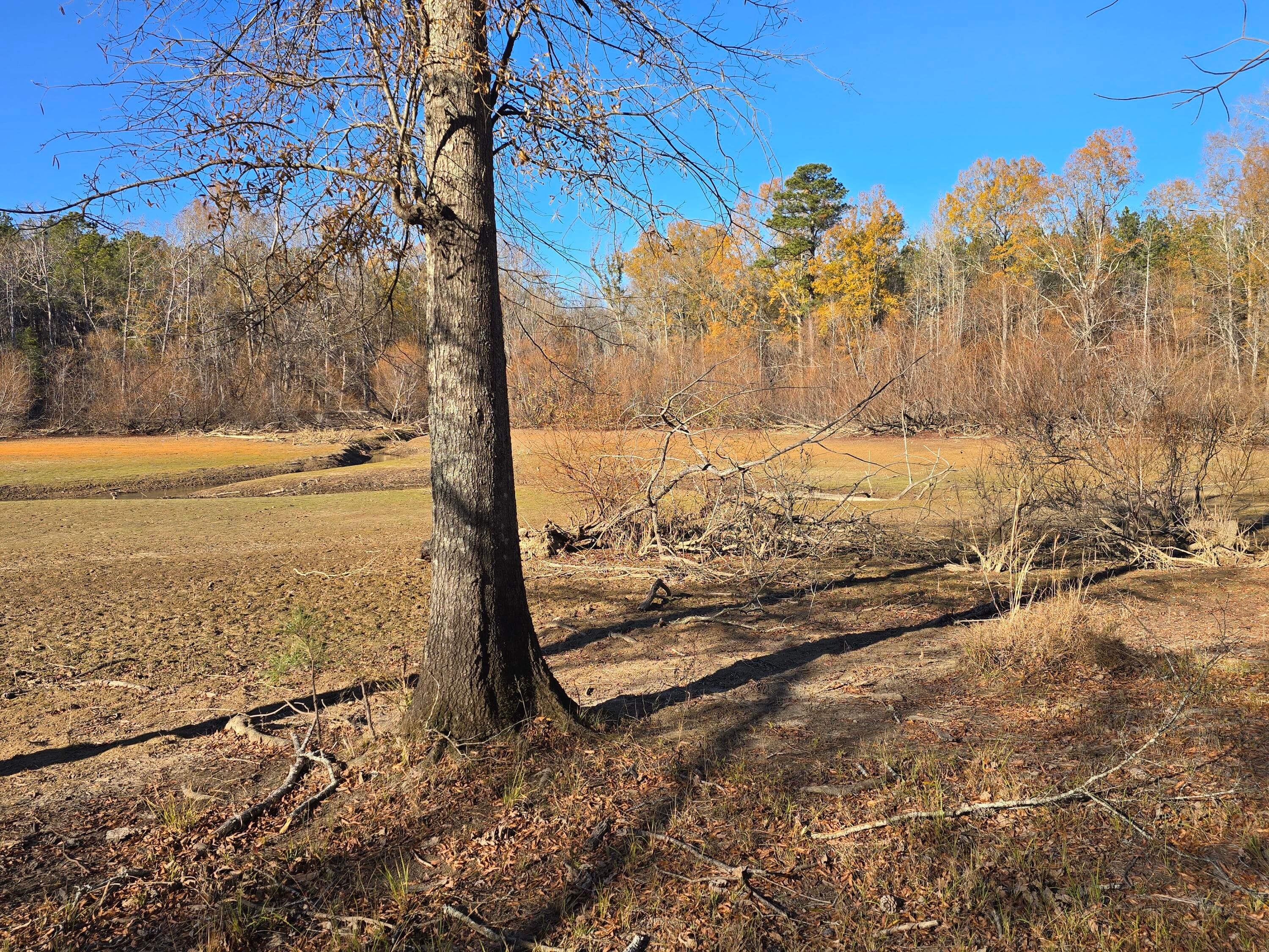 Residential Lot at 1102 Dogwood Drive, Lincolnton, GA 30817, photo 32 of 46