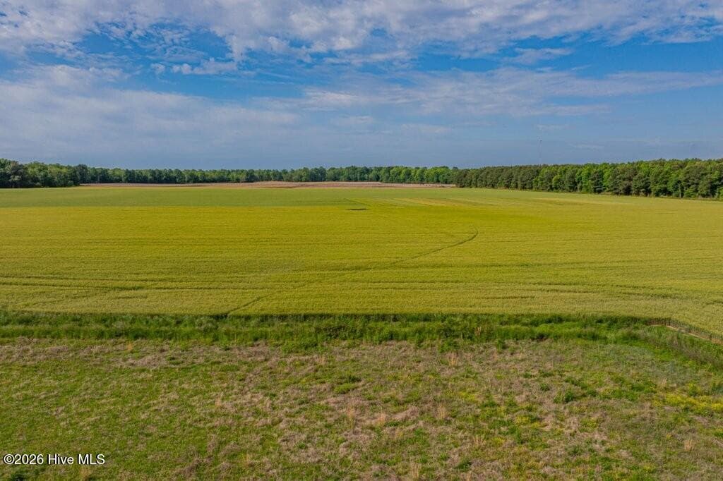 301 1 Wildcat Road, Edenton, NC 27932