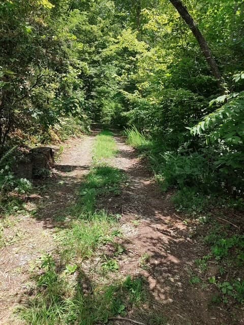 Land at 580 Overlook, Robbinsville, NC 28771, photo 3 of 11