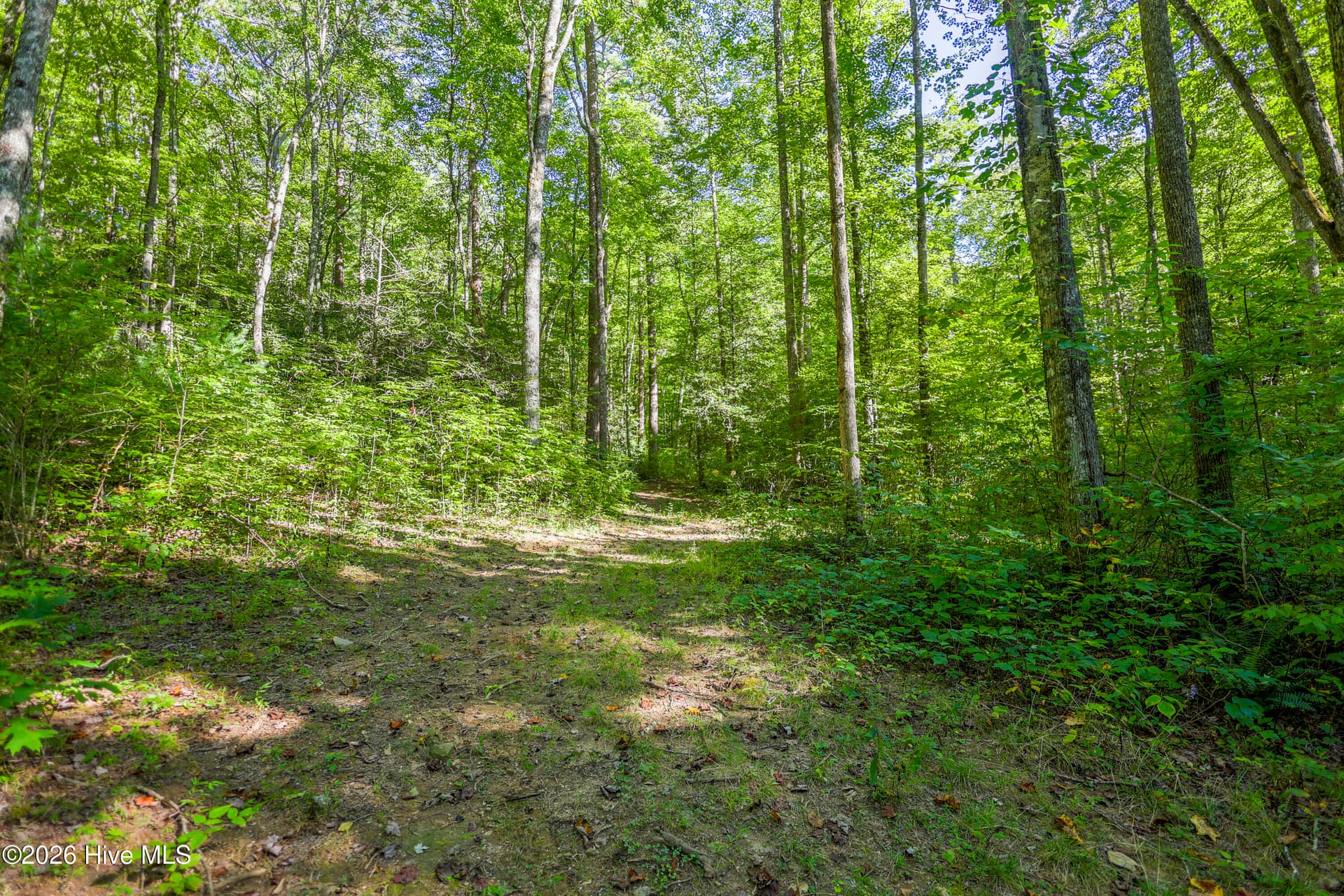 Wooded at 90 Ac Tree House Road, Andrews, NC 28901, photo 15 of 19