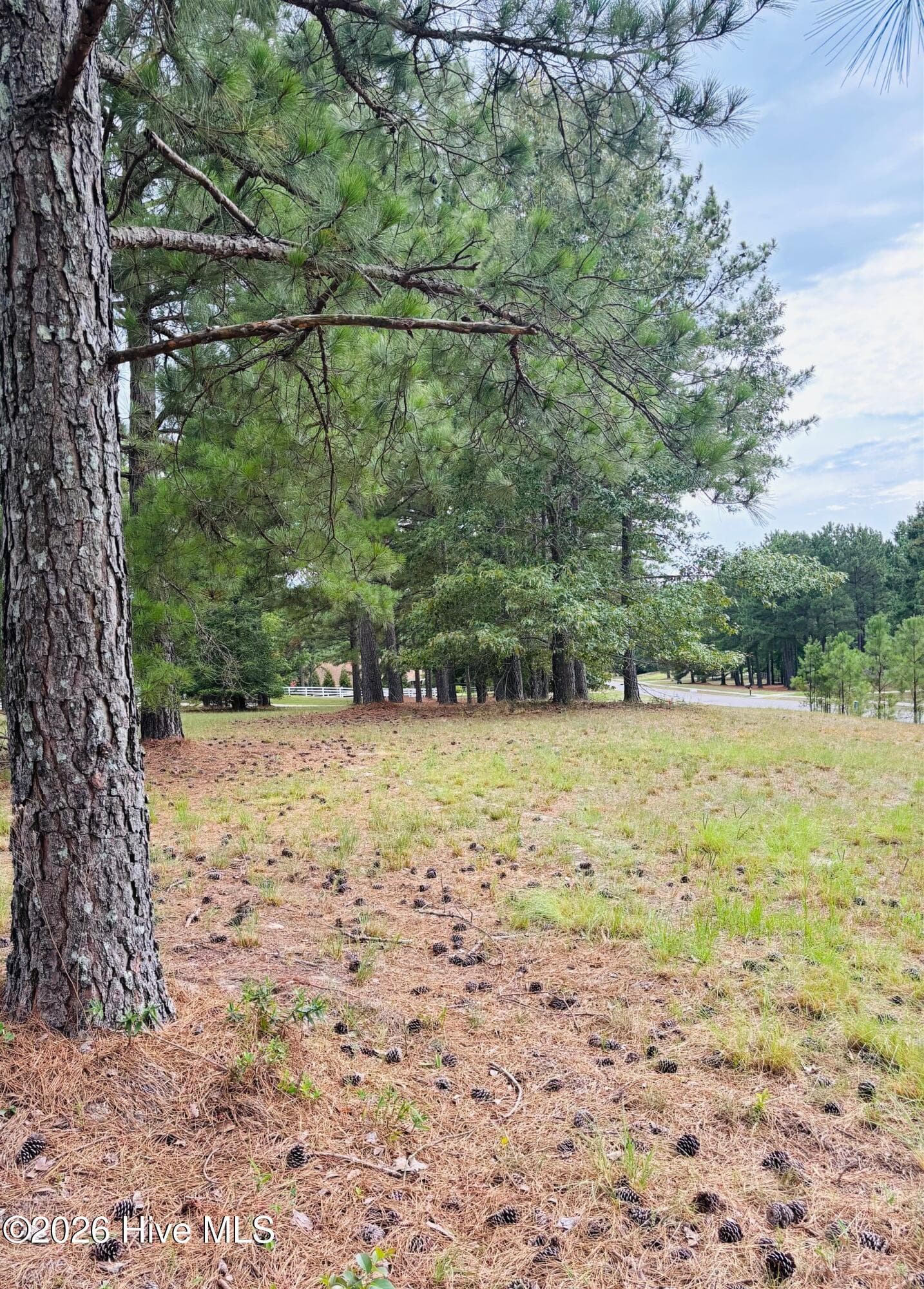 Residential Lot at 740 338 Broken Ridge Trail, West End, NC 27376, photo 3 of 4