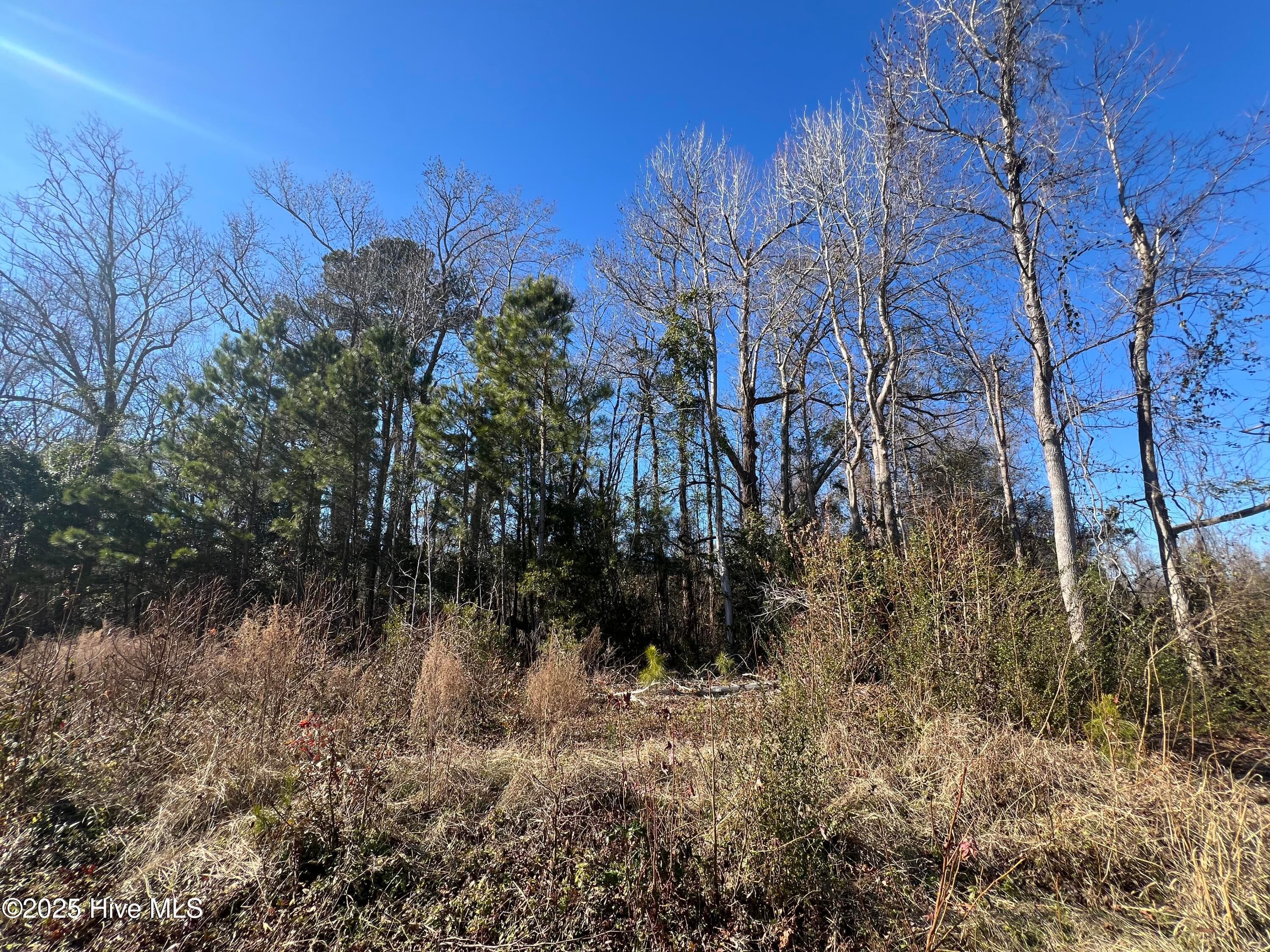 Residential Lot at 383 Ocean Highway E, Supply, NC 28462, photo 4 of 6