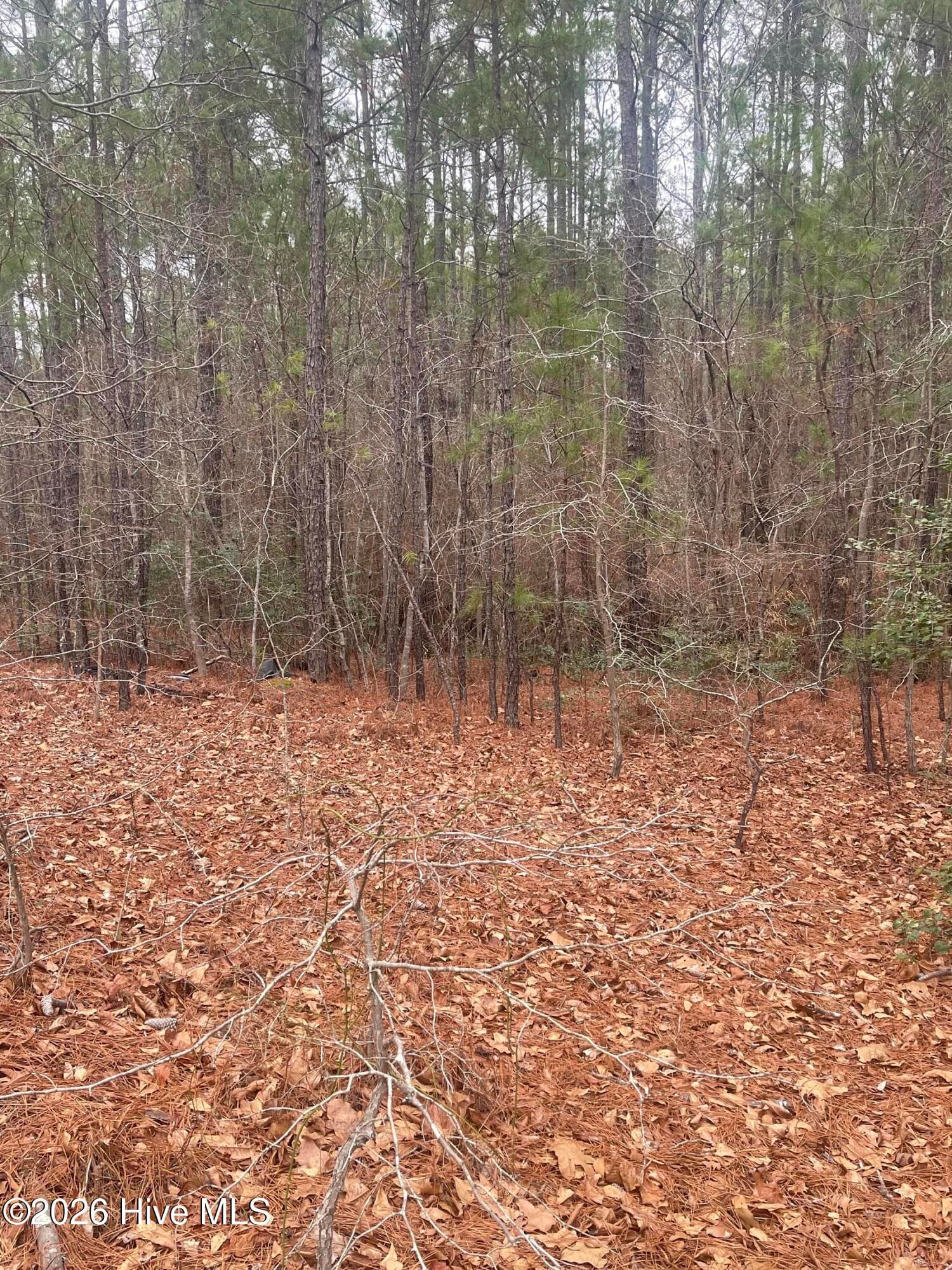 Wooded at Lot 6 & 7 Bumpy Lane, Sanford, NC 27332, photo 6 of 7