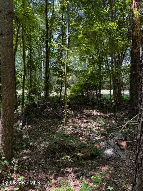 Undeveloped at Lot 1 Dan Road, Robbins, NC 27325, photo 13 of 22