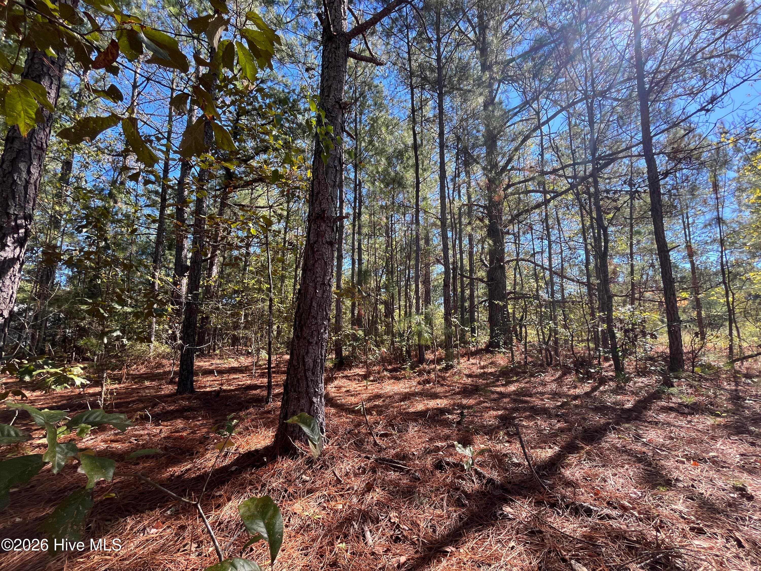 Residential Lot at Lot 9 Jasper Davis Road, Avera, GA 30803, photo 16 of 21
