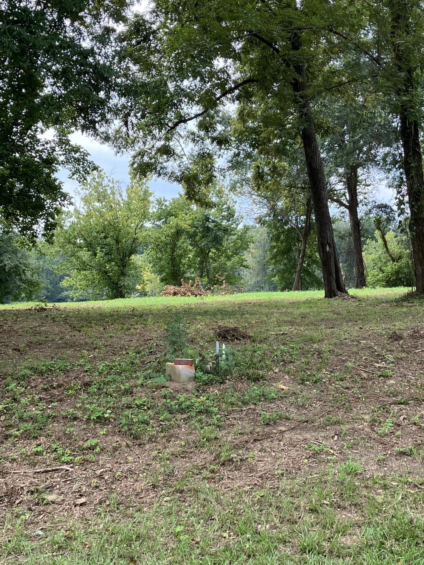 Residential Lot at 165 River Bend Drive, Clarks Hill, SC 29821, photo 4 of 12