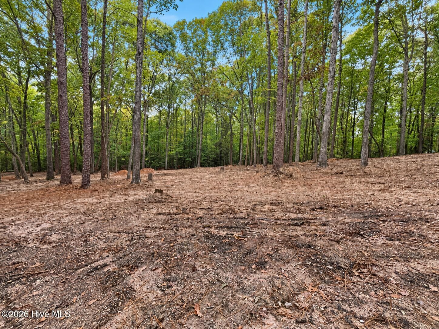 Residential Lot at 150 Morgan Circle, Carthage, NC 28327, photo 6 of 20