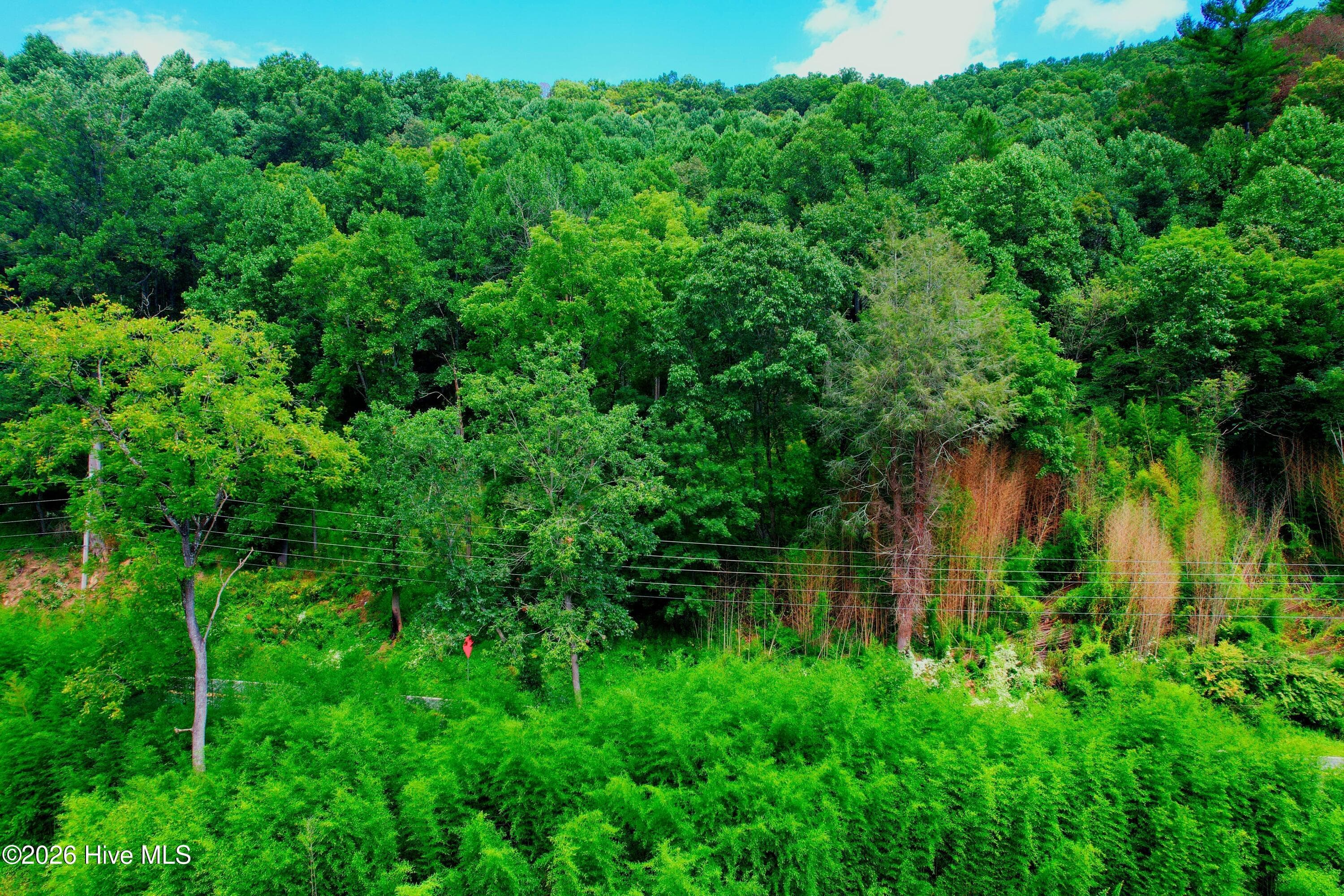 Undeveloped at 2872 Panther Creek Road, Clyde, NC 28721, photo 56 of 82