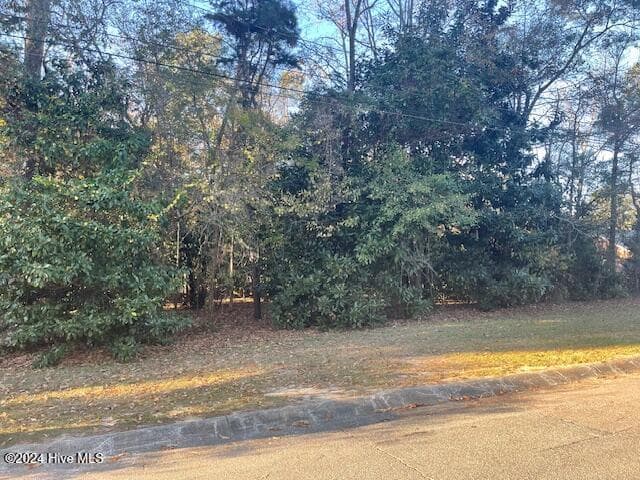 Wooded at 408 Lot 4, Block F, Lake Pines Drive, La Grange, NC 28551, photo 10 of 12