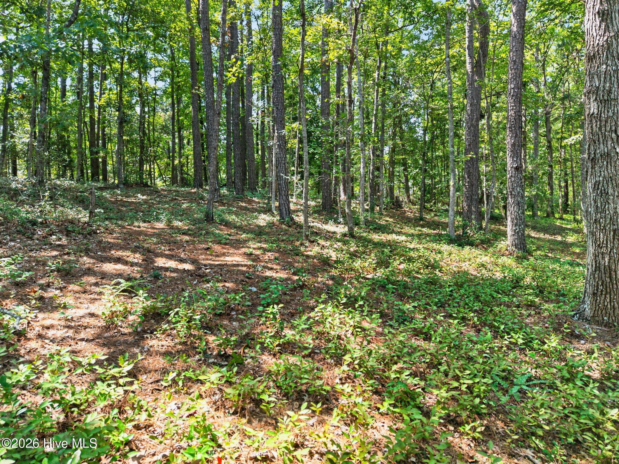 Residential Lot at 3075 L-54 Valderama Way SE, Bolivia, NC 28422, photo 15 of 25