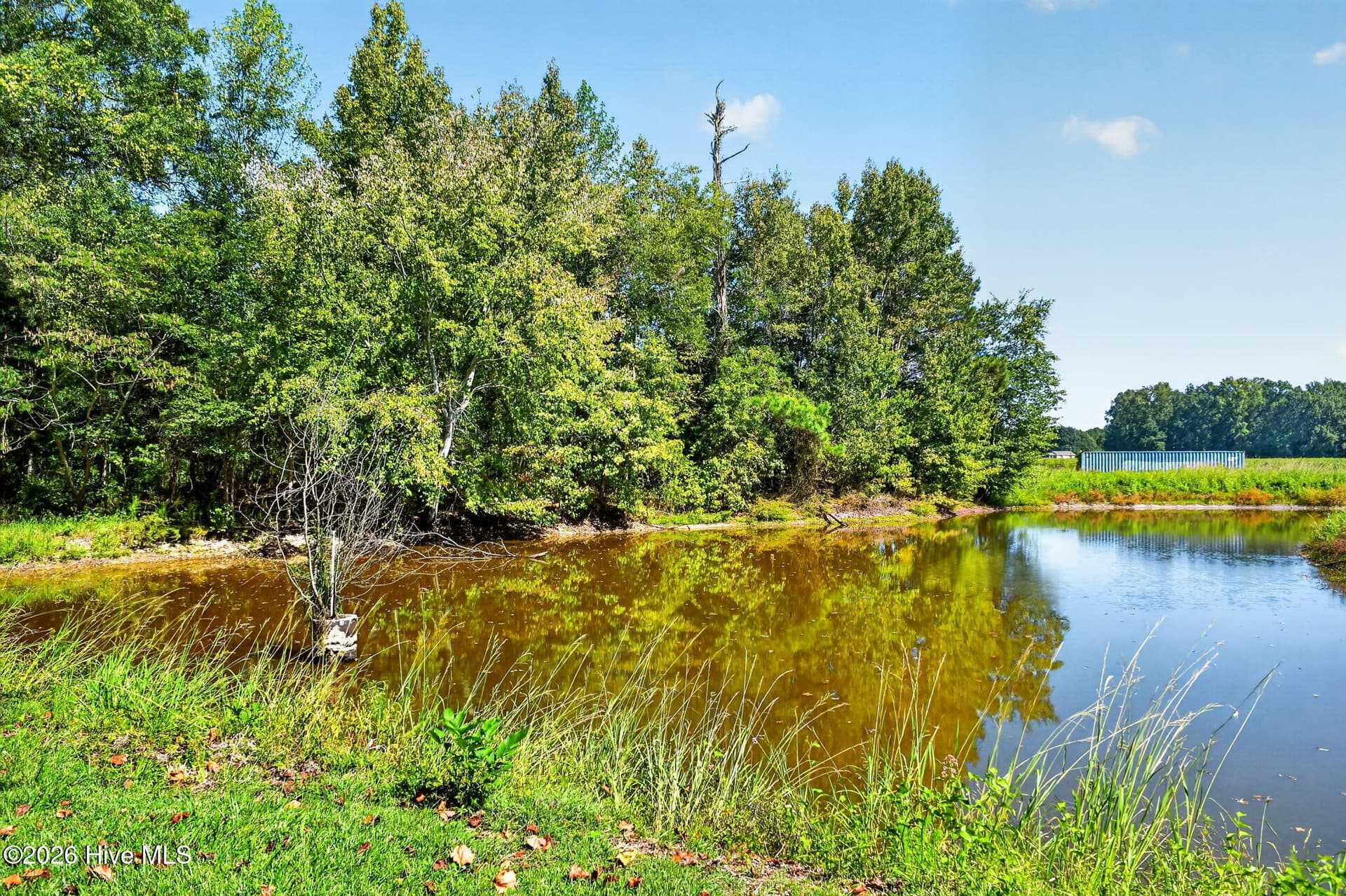 Stocked Pond - 436 Doctor Robinson Road, Bladenboro, NC 28320