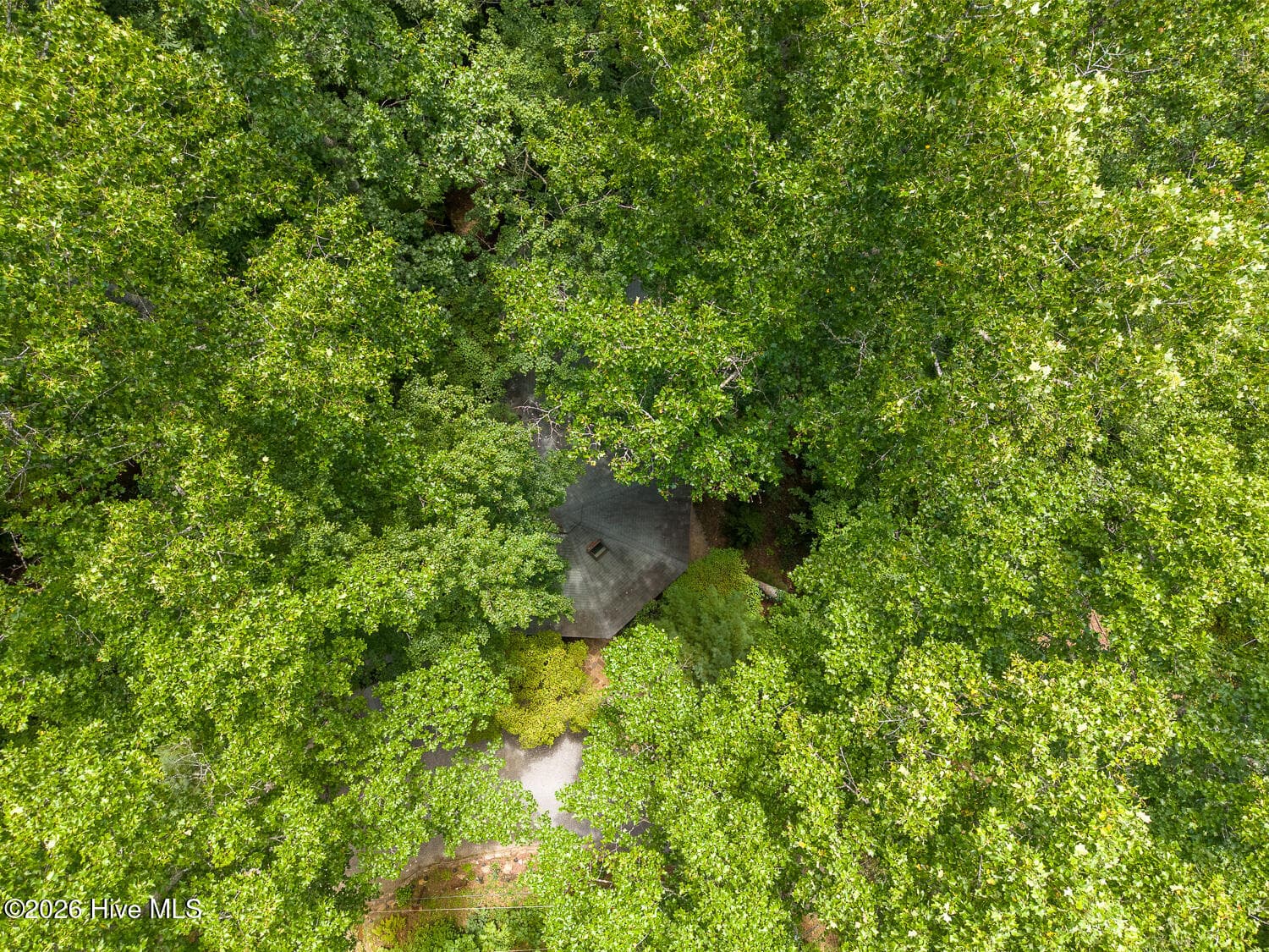 Single Family Residence at 204 Mountain Laurel Drive, Bryson City, NC 28713, Bryson City, photo 73 of 73