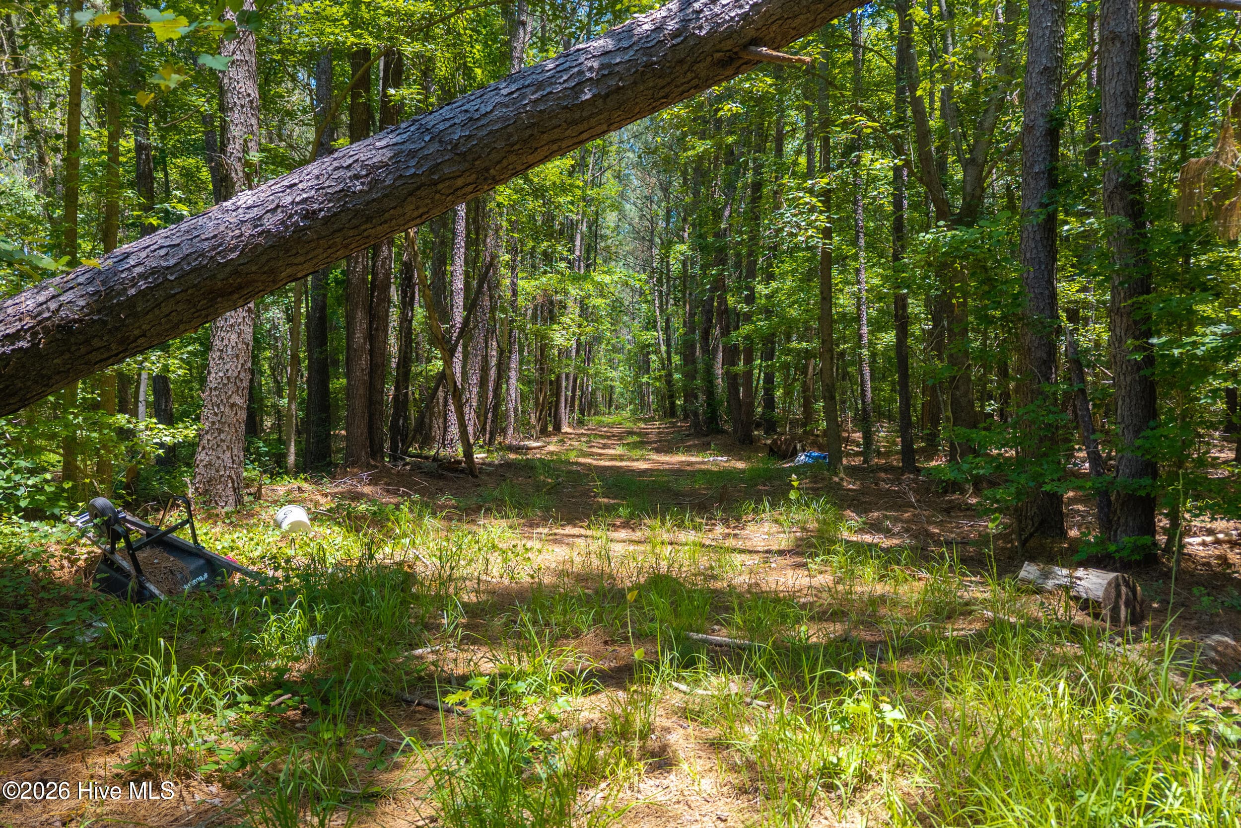 Undeveloped at 674 State Road 1415, Greenville, NC 27834, photo 10 of 10