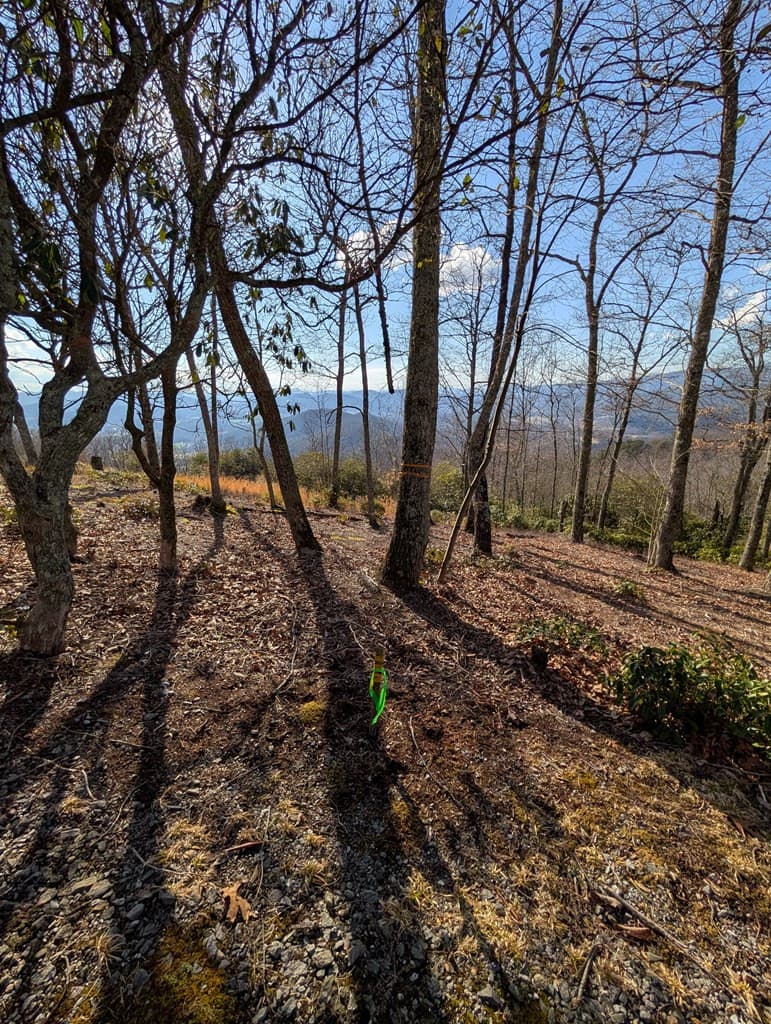 Residential Lot at L-16&17 16 & 17 Summit Drive, Hayesville, NC 28904, Hayesville, photo 28 of 30