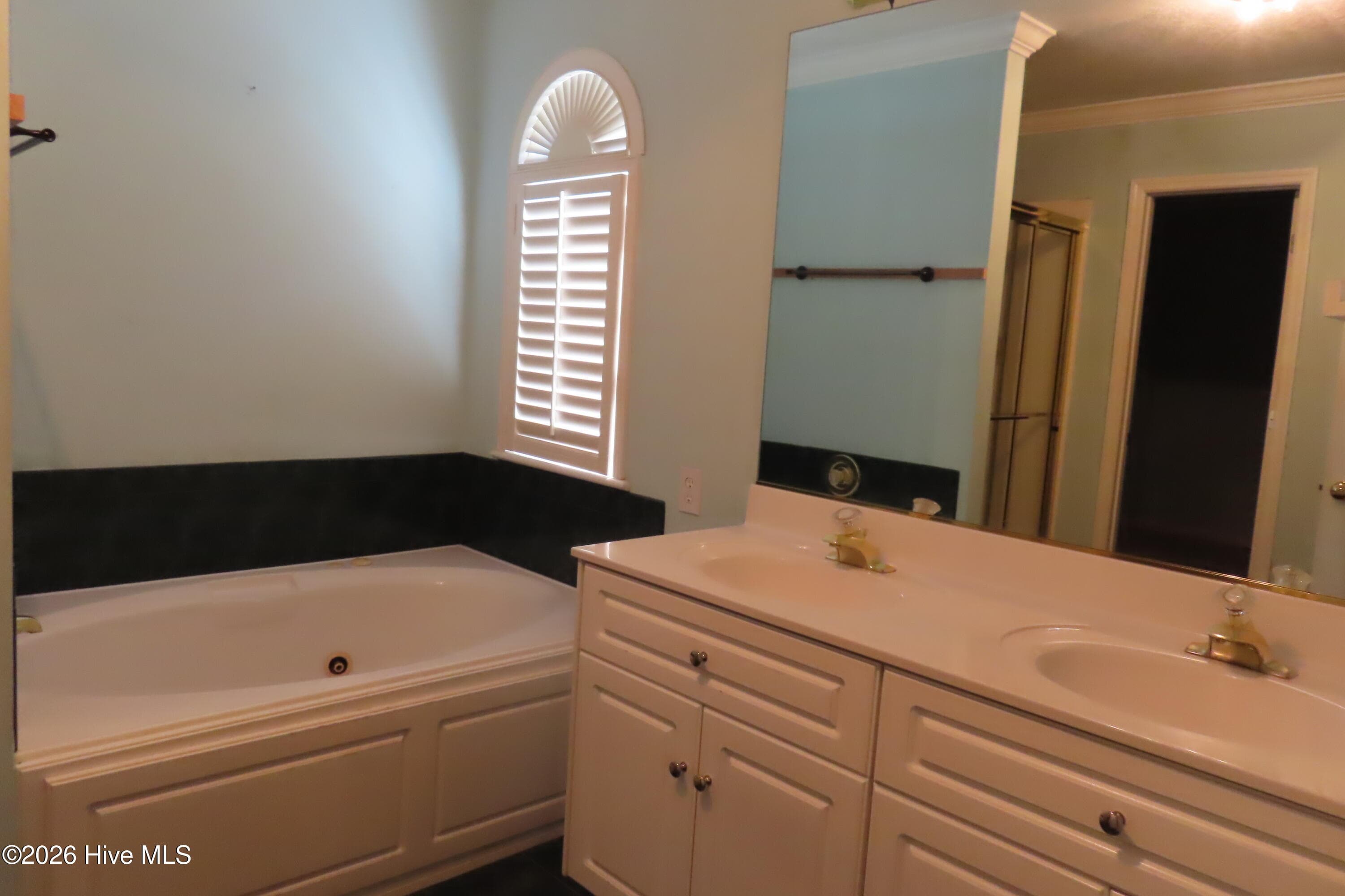 Primary bath, jetted tub, double sink vanity, shower. - 492 Granite Point, Augusta, GA 30907