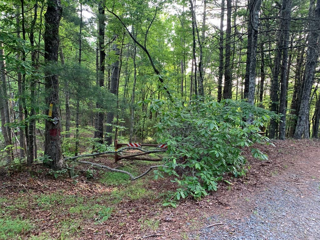 Land at Lot 43 Kestrel Ridge Circle, Murphy, NC 28906, photo 24 of 24