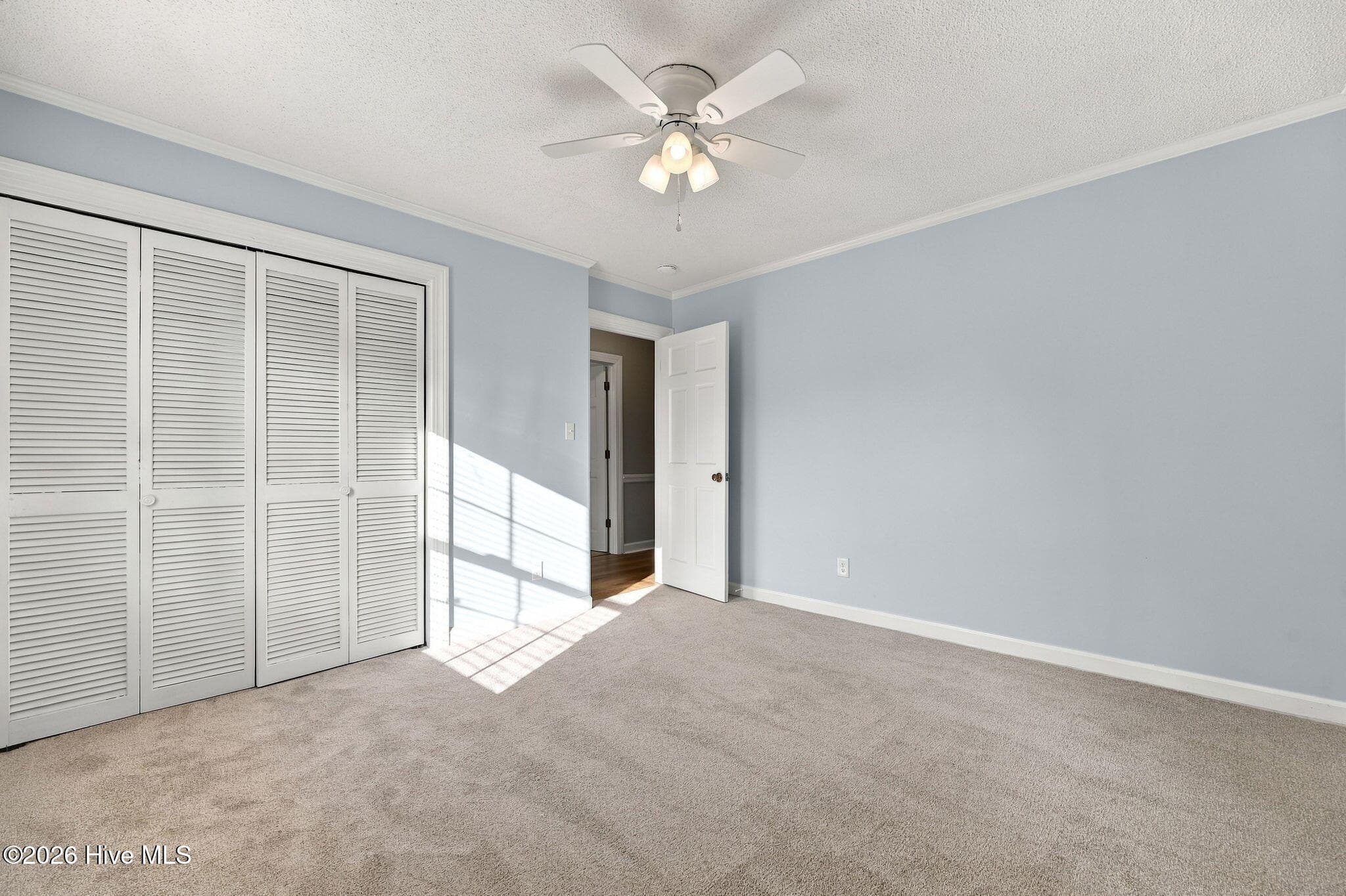 Bedroom 2 - 109 Hardee Street, Greenville, NC 27858