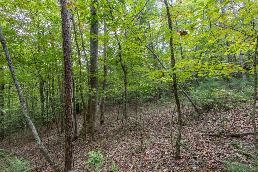 Residential Lot at 2 Ac 6 Horvath Road, Murphy, NC 28906, photo 12 of 12