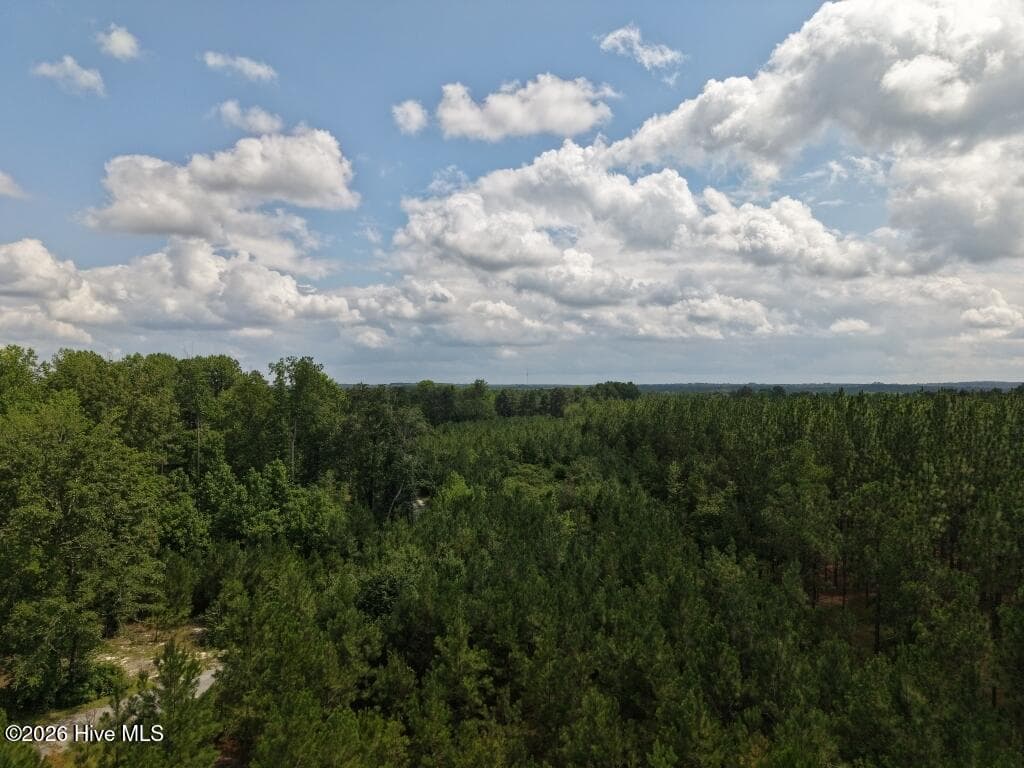 Residential Lot at 1581 Doubs Chapel Road, West End, NC 27376, photo 9 of 10