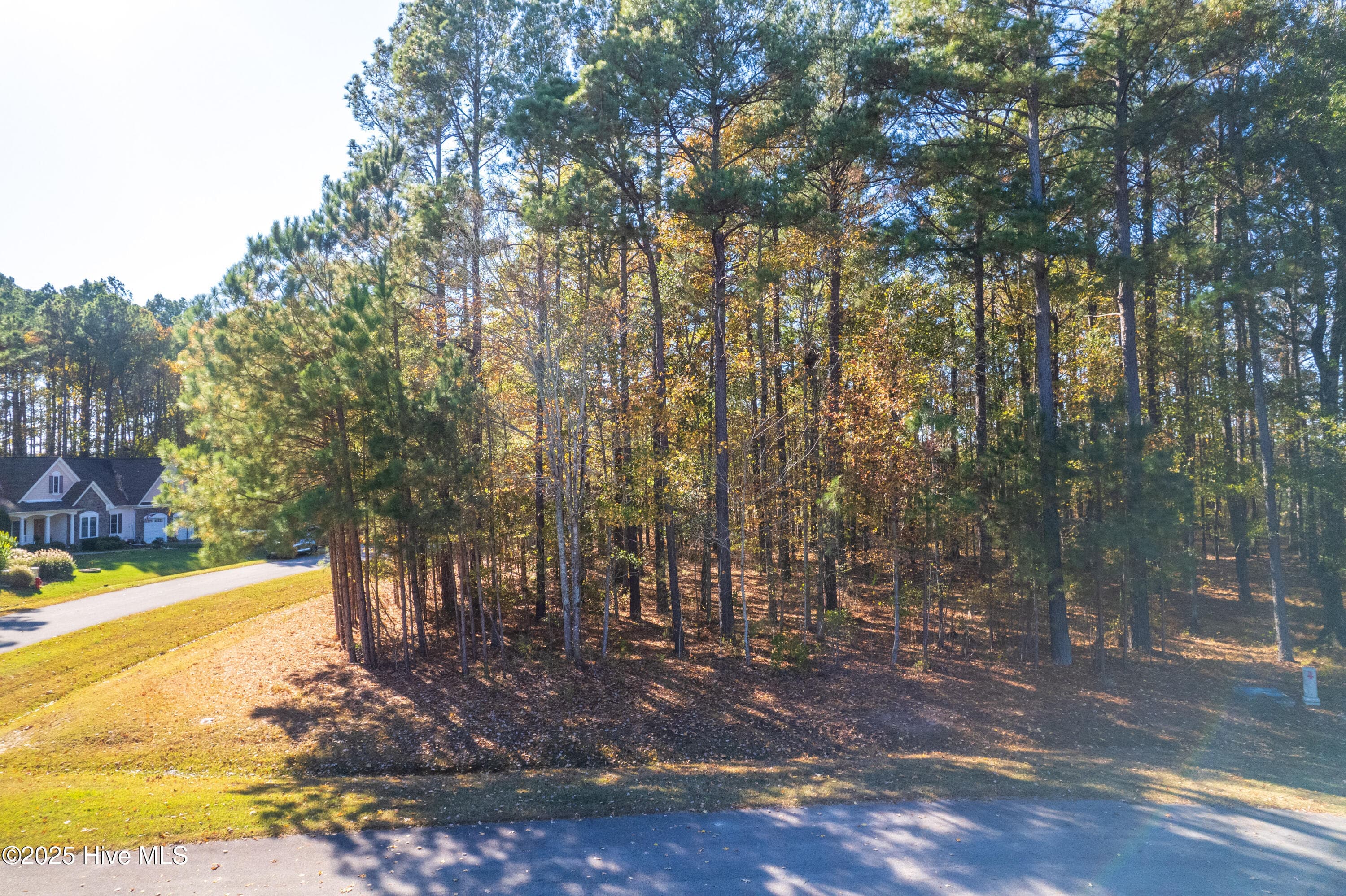 Wooded at 65 JJ65 Standard Bred Way, Hertford, NC 27944, photo 4 of 8