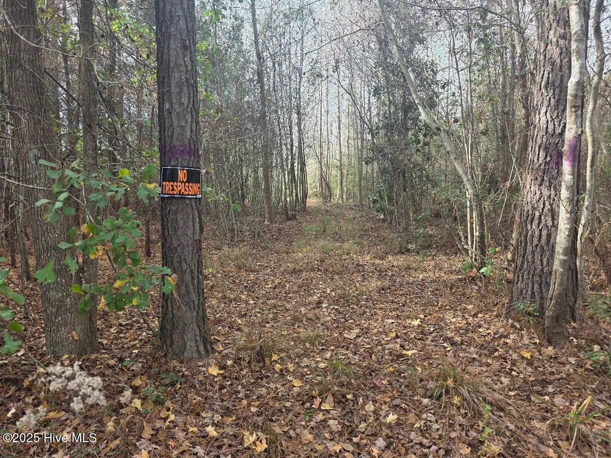 9093 Near 9093 Joe Brown Highway N, Bladenboro, NC 28320