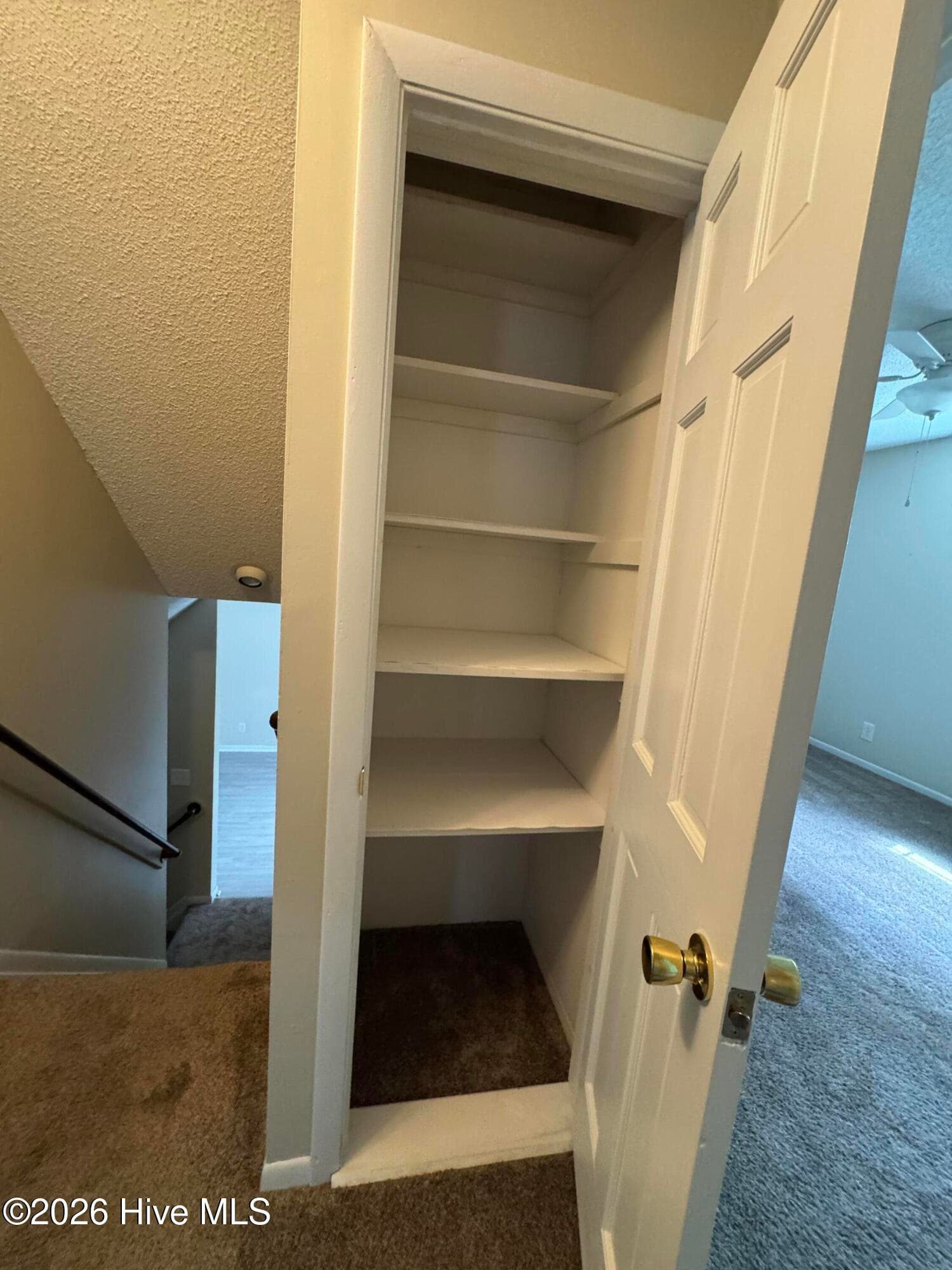 All closets appear to be at least 24 inches deep - 118 Oakwood Drive, Havelock, NC 28532
