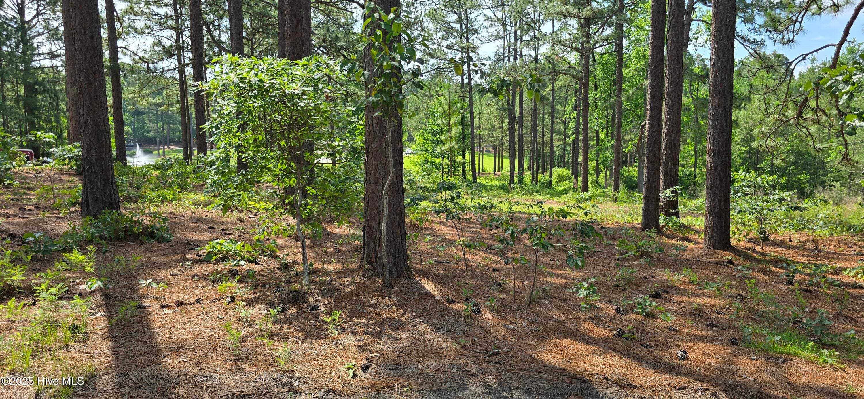 Residential Lot at 101 3207R Owens Circle, Seven Lakes, NC 27376, photo 2 of 6