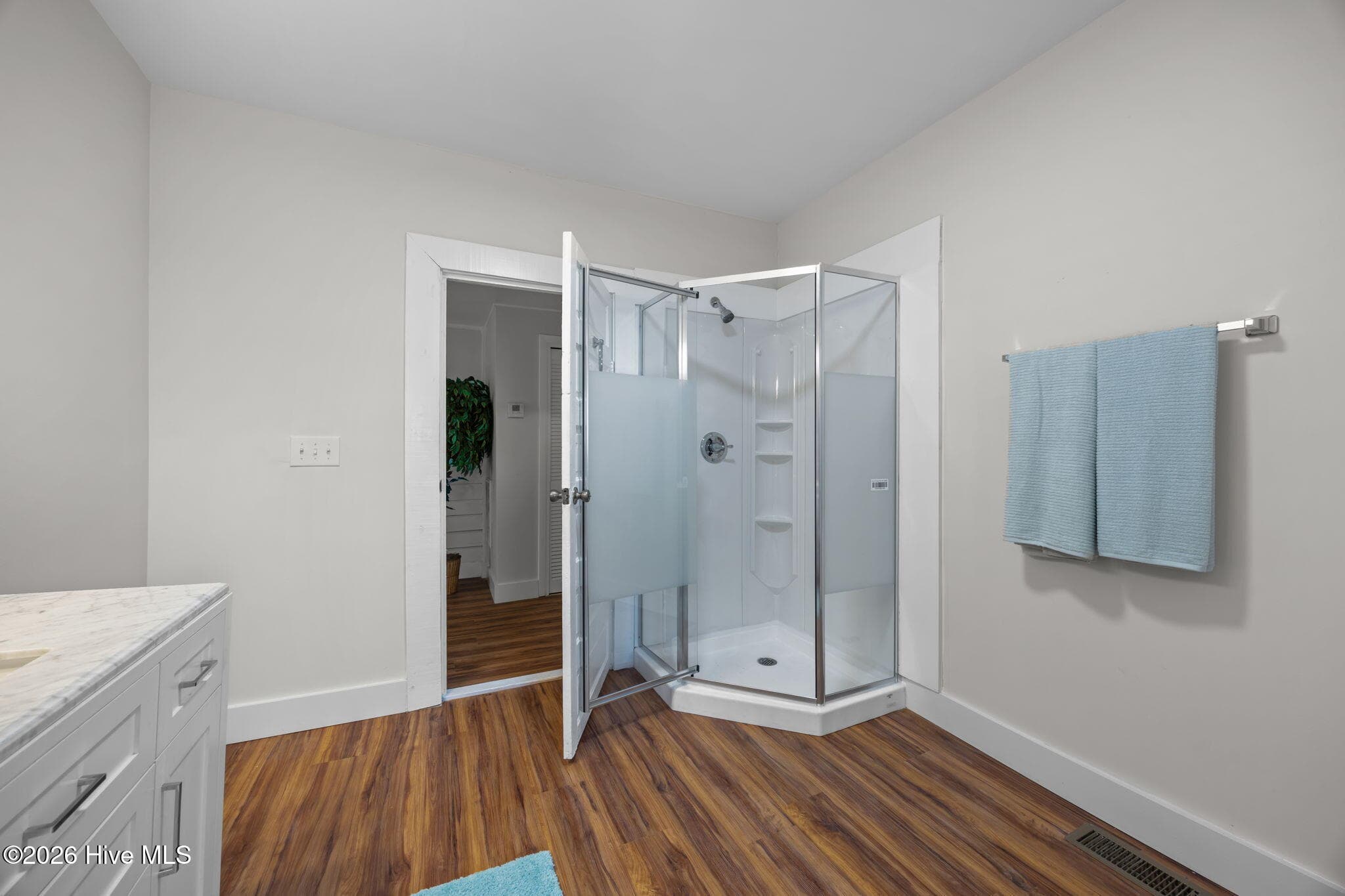 full hall bath, corner shower - 809 Church Street, Scotland Neck, NC 27874