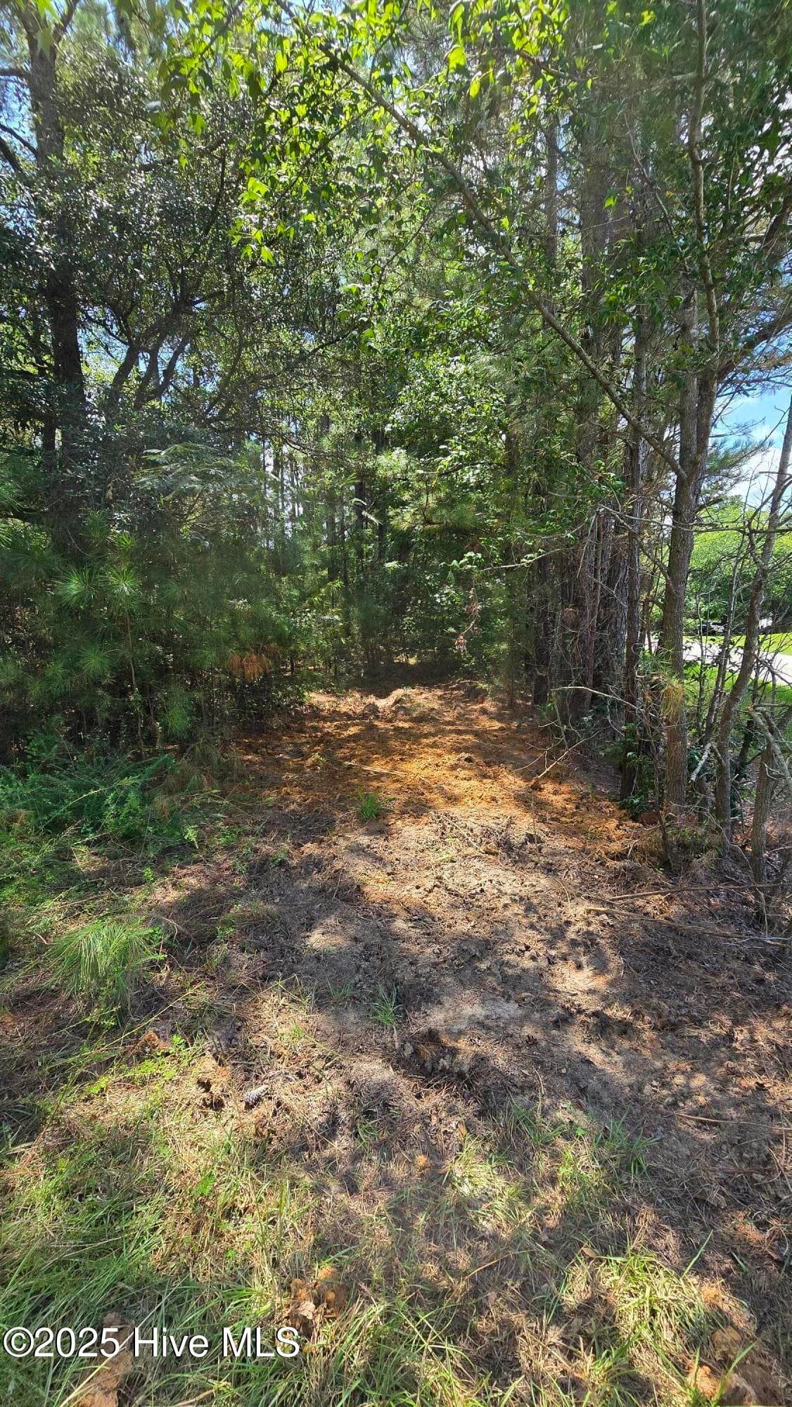 Wooded at 0 Underwood Road, Murfreesboro, NC 27855, photo 6 of 6