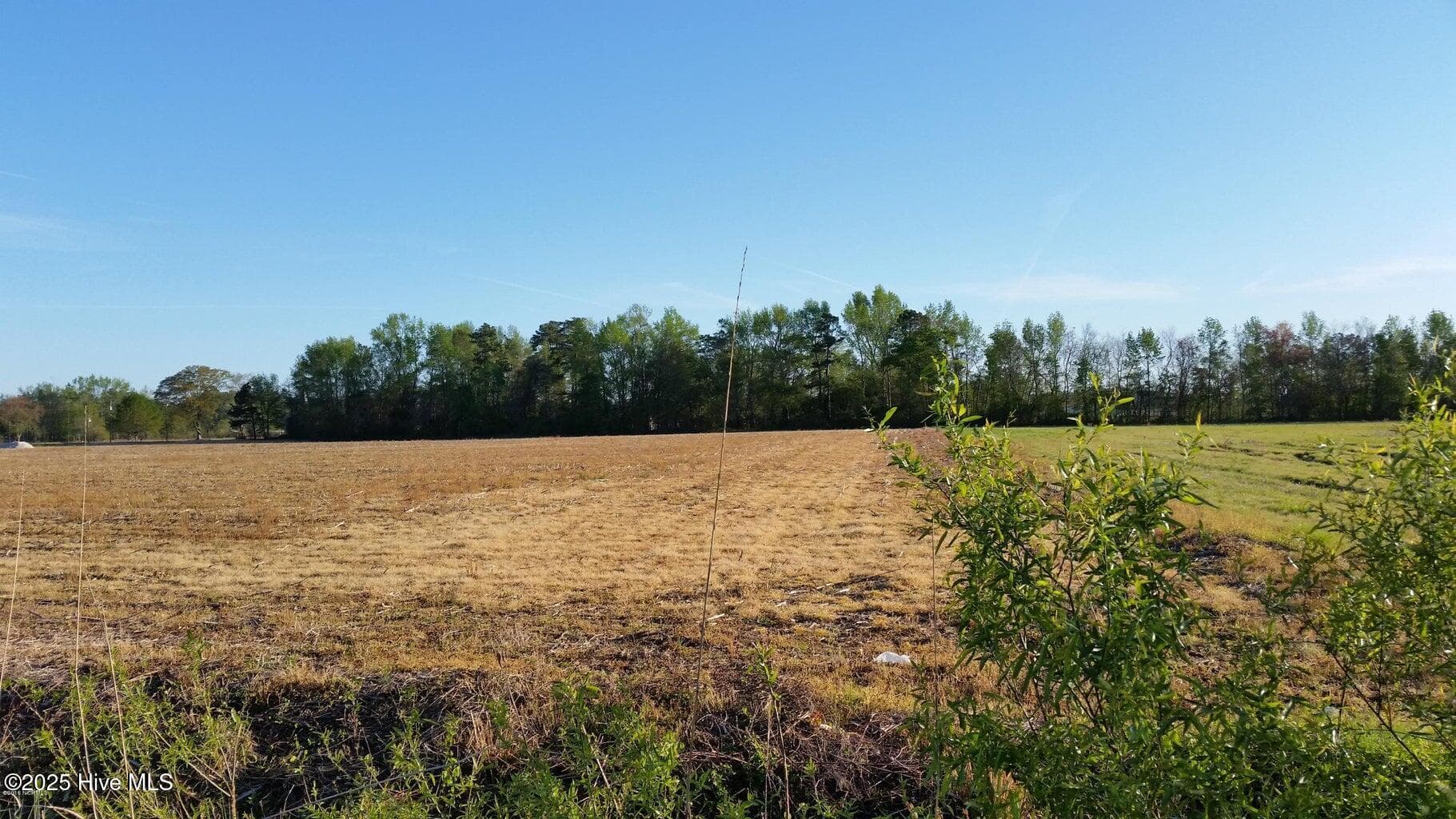 Undeveloped at 120 Old Main Road, Pembroke, NC 28372, photo 3 of 4