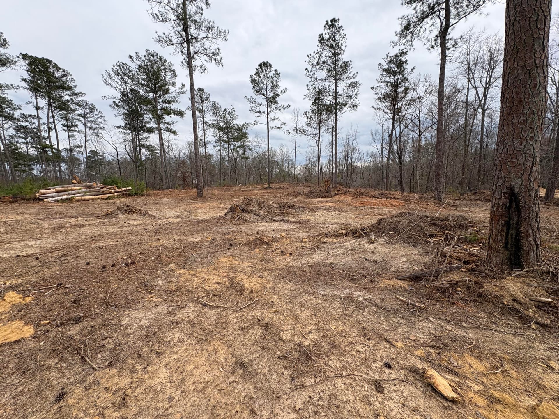 Residential Lot at 5672 White Oak Road, Appling, GA 30802, photo 5 of 8